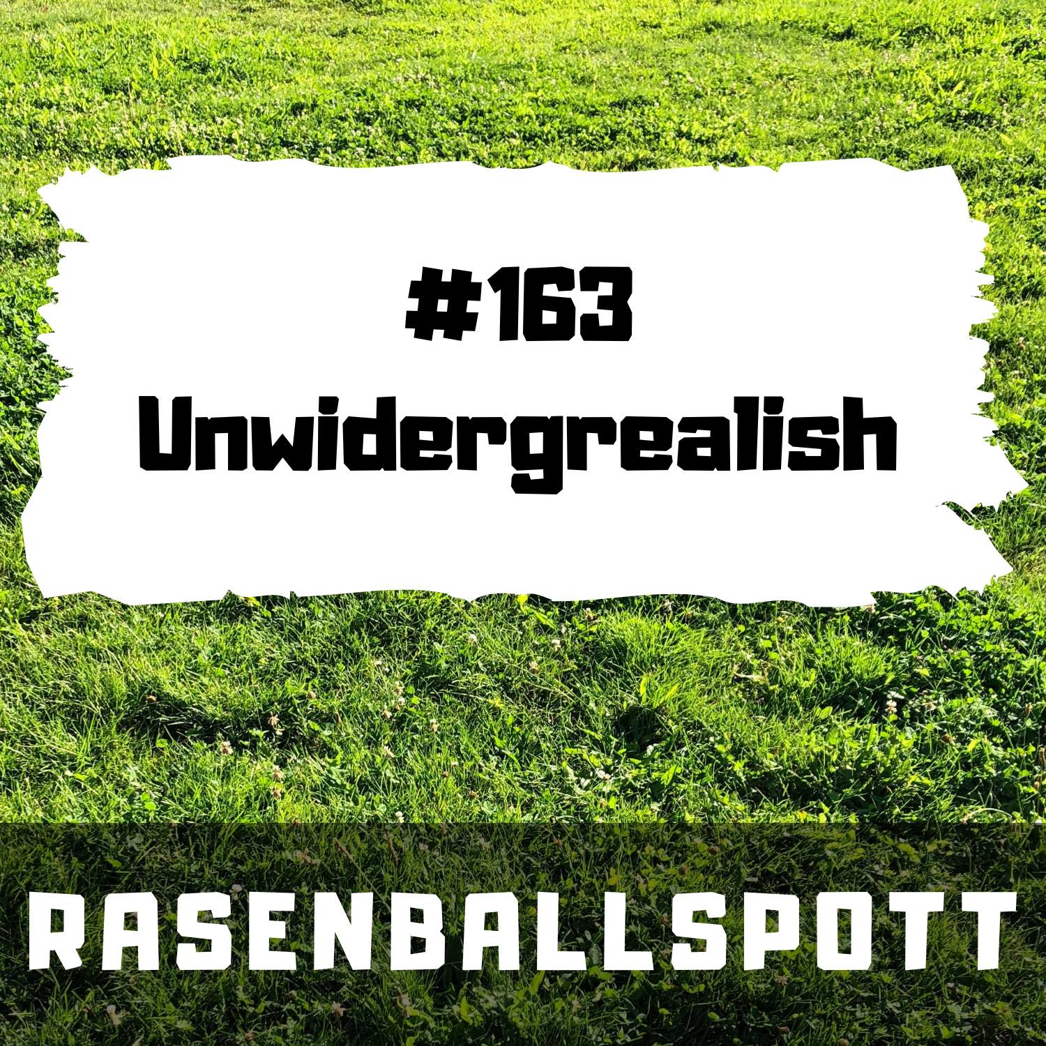 RASENBALLSPOTT