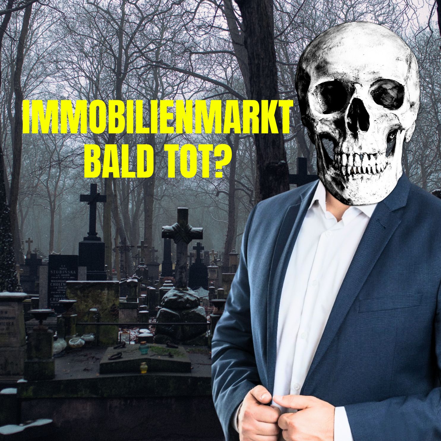 Immobilien Insights vom Schäfer