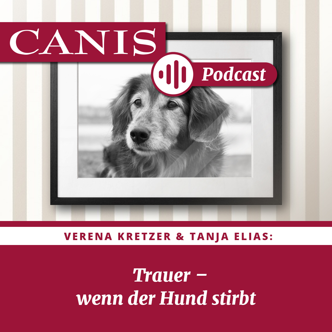 Der CANIS-Podcast – Hundeexpert:innen ausgefragt