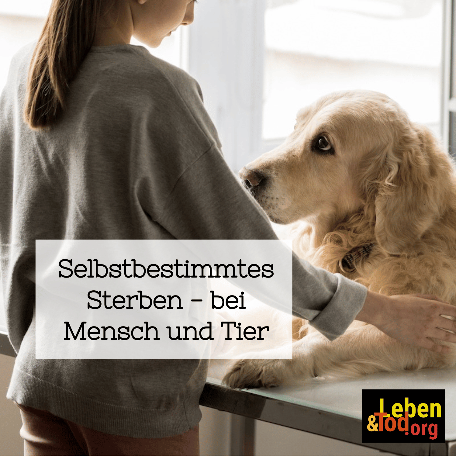 Die Sache mit der Vergänglichkeit
