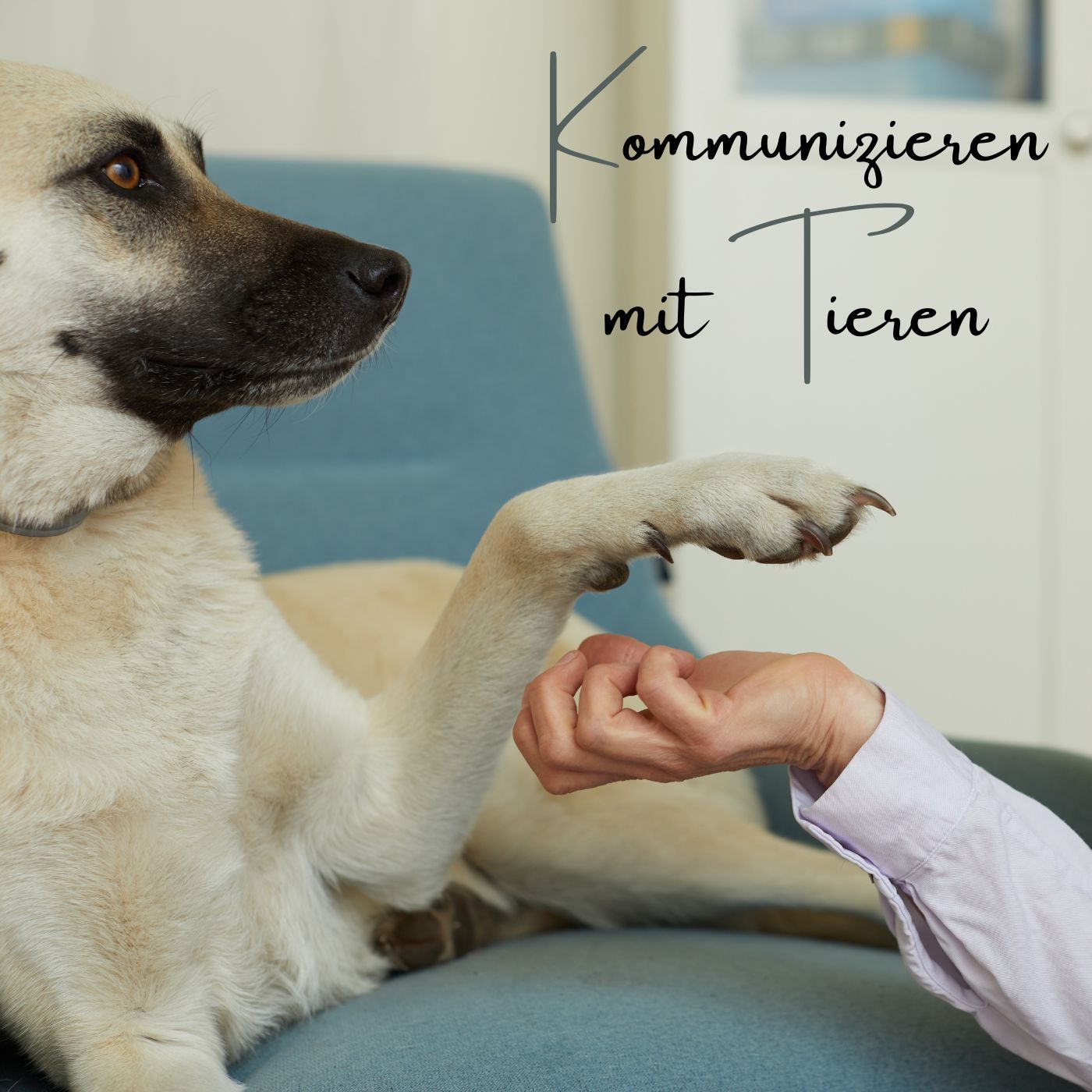 Wie wir dazu gekommen sind, mit Tieren zu sprechen. episode artwork