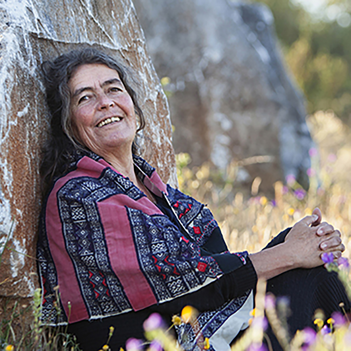 Zeitpunkt TERRA NOVA