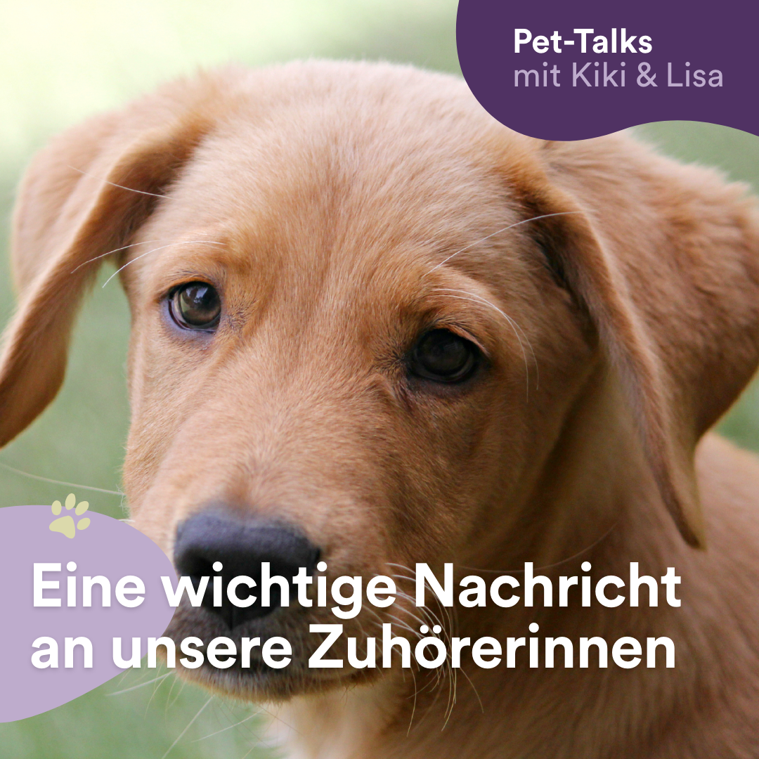 Pet-Talks mit Kiki & Lisa - der Hunde-Podcast von DeineTierwelt