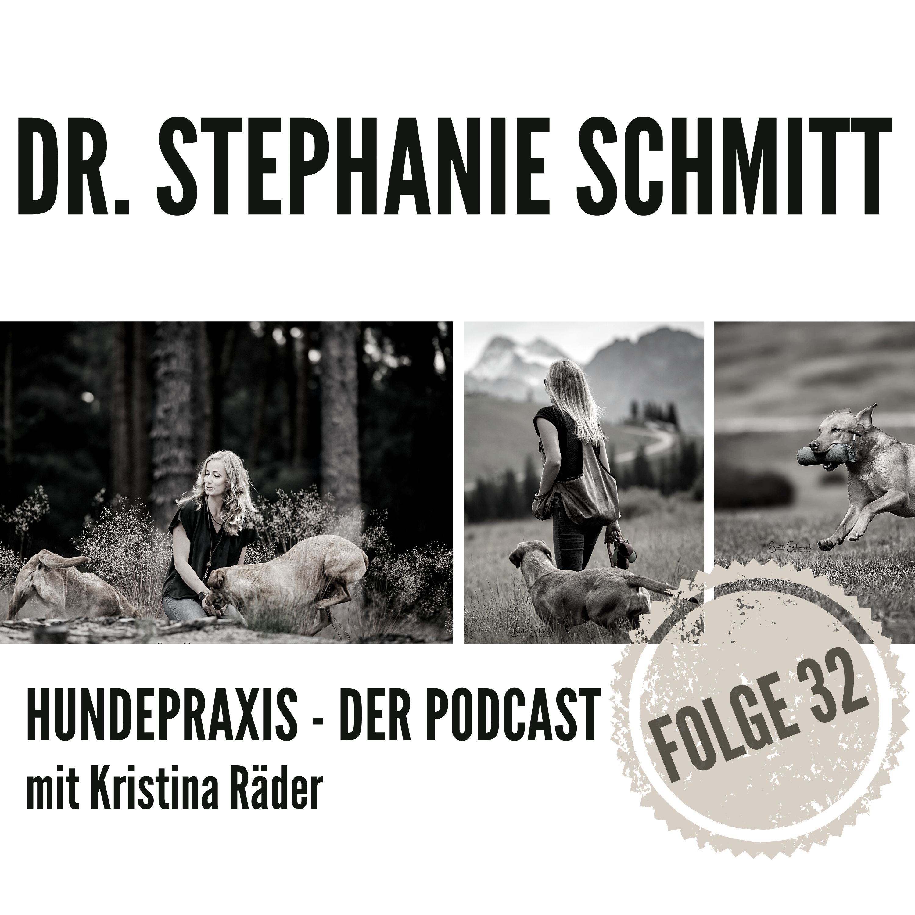 Hundepraxis - der Podcast