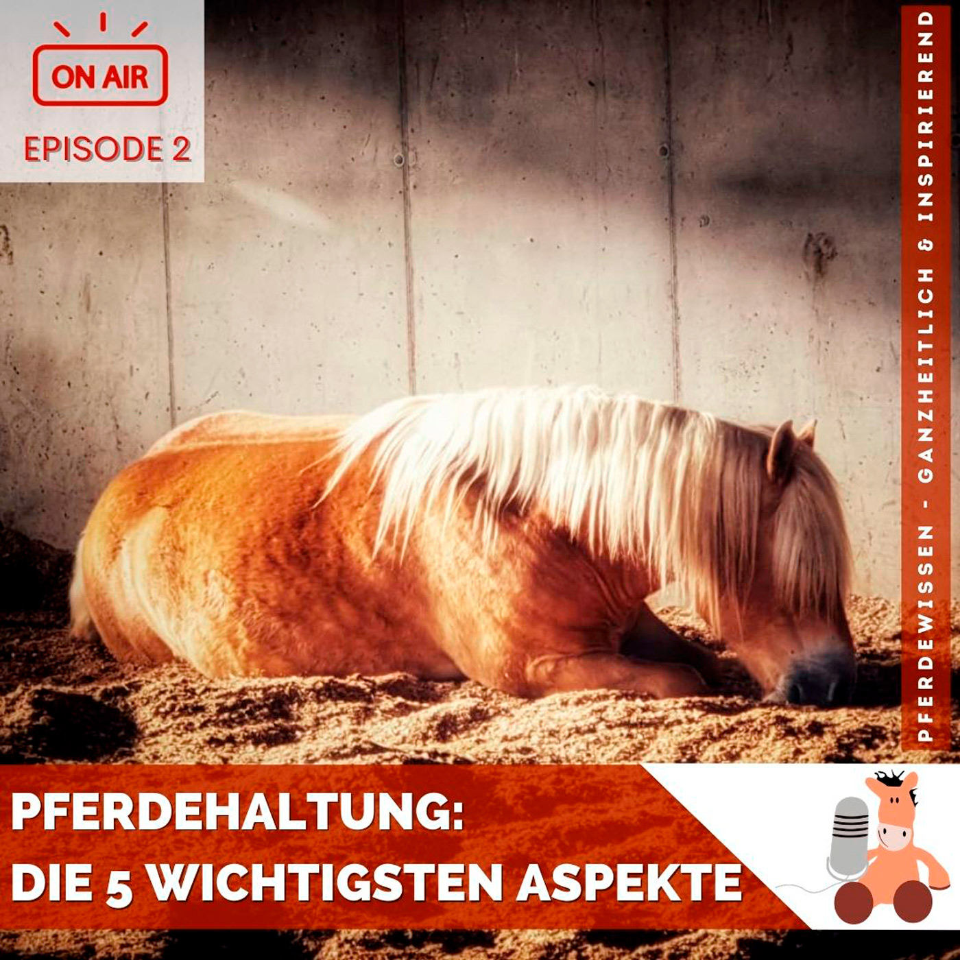 Pferdehaltung: Die 5 wichtigsten Aspekte plus Checkliste episode artwork