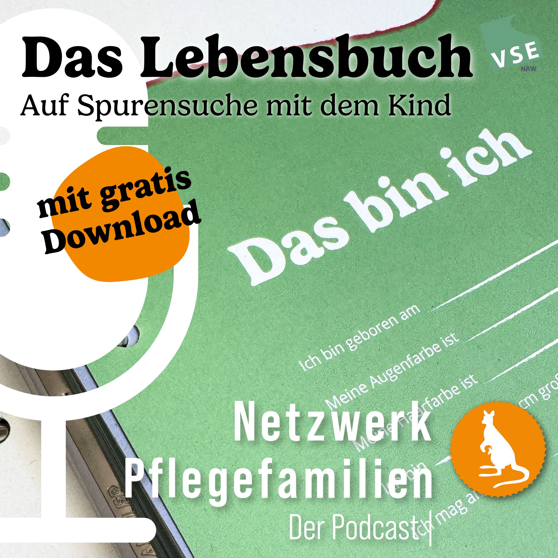 Netzwerk Pflegefamilien - Der Podcast