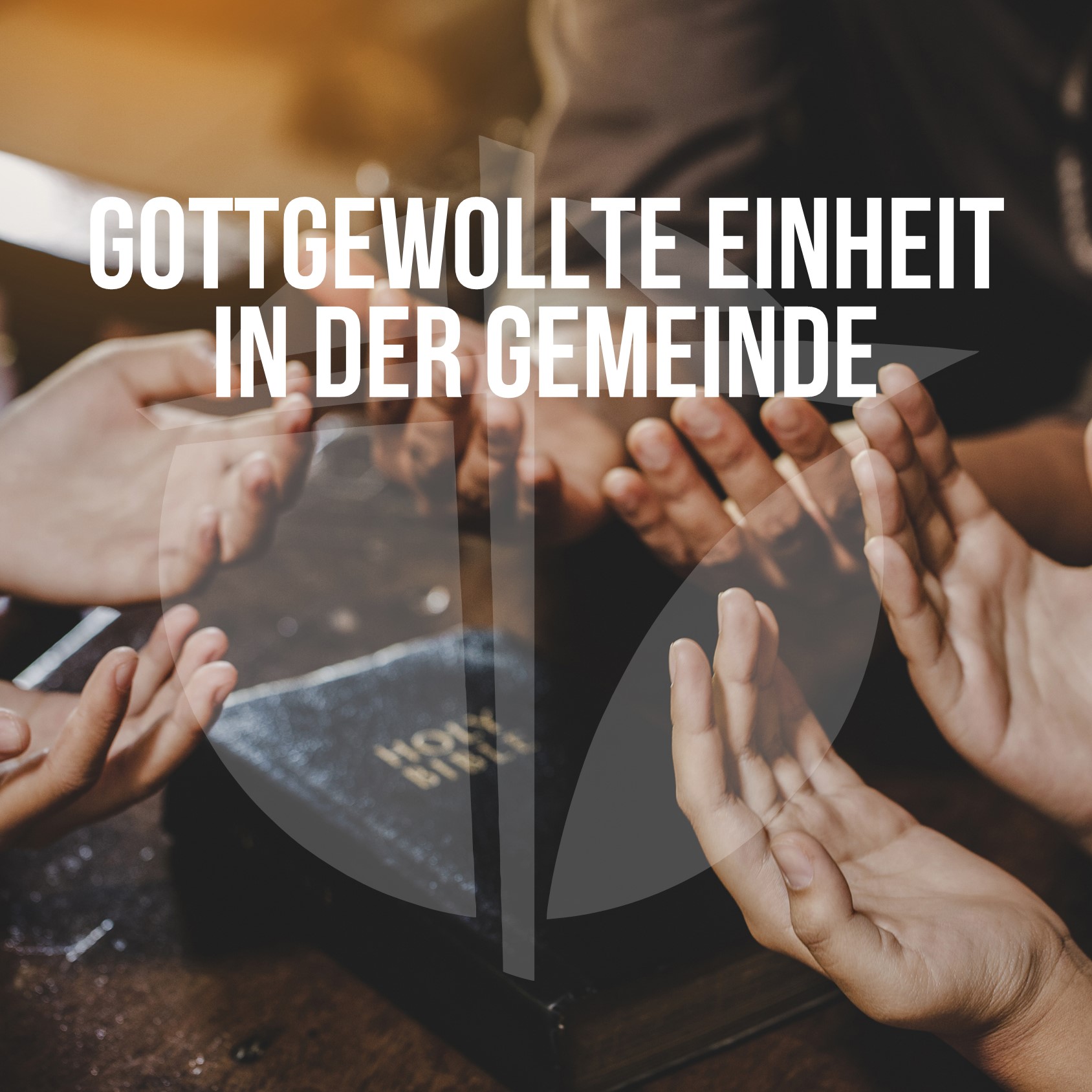GfC Deutschland