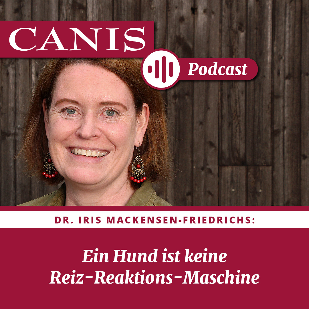 Der CANIS-Podcast – Hundeexpert:innen ausgefragt