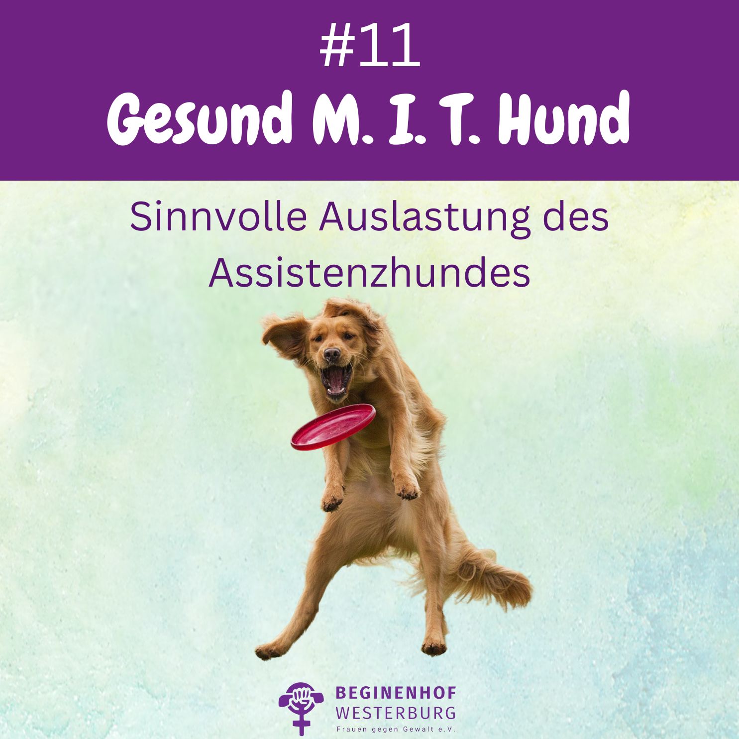 #11 Gesund MIT Hund - Auslastung episode artwork