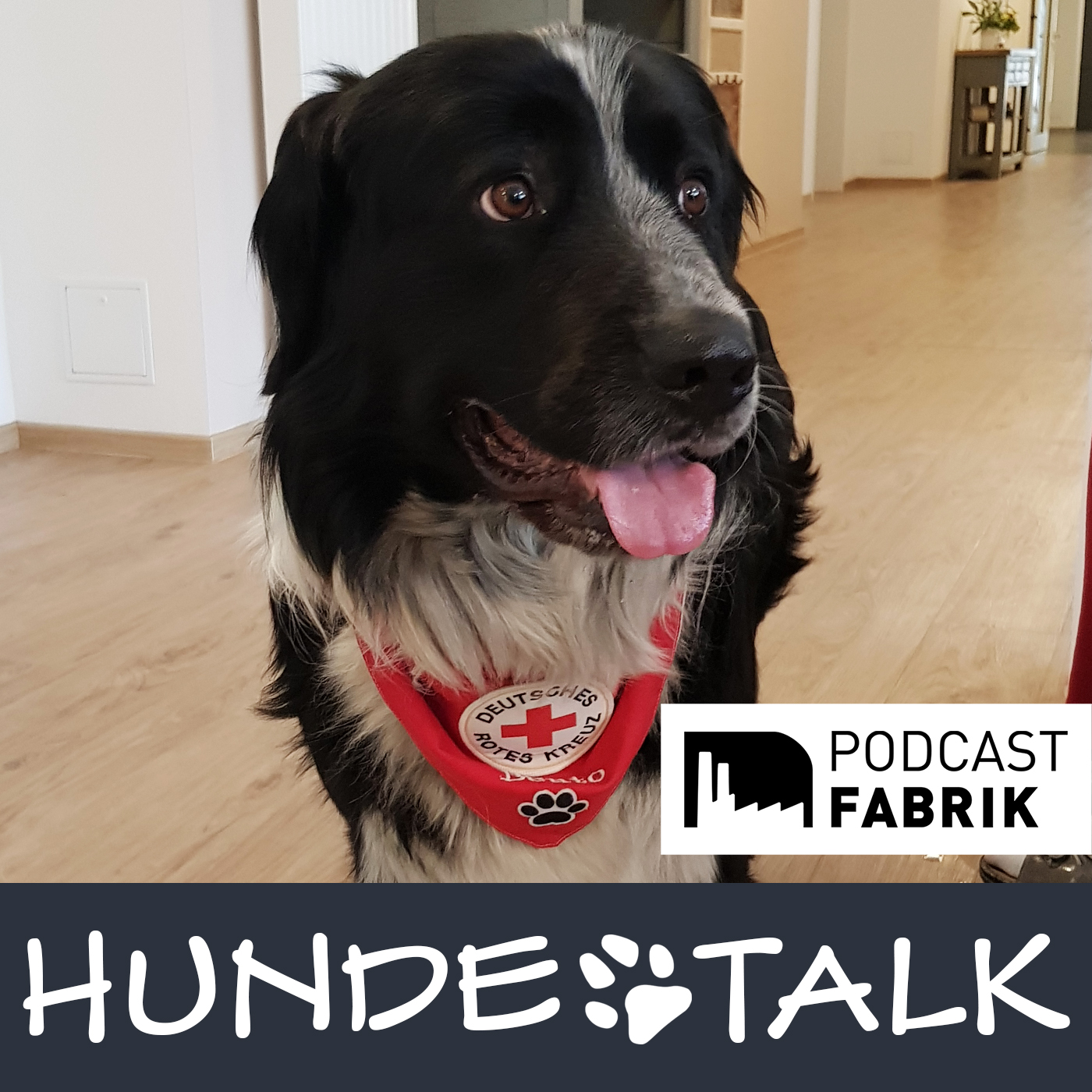 HUNDETALK - Dein Hunderunde-Podcast