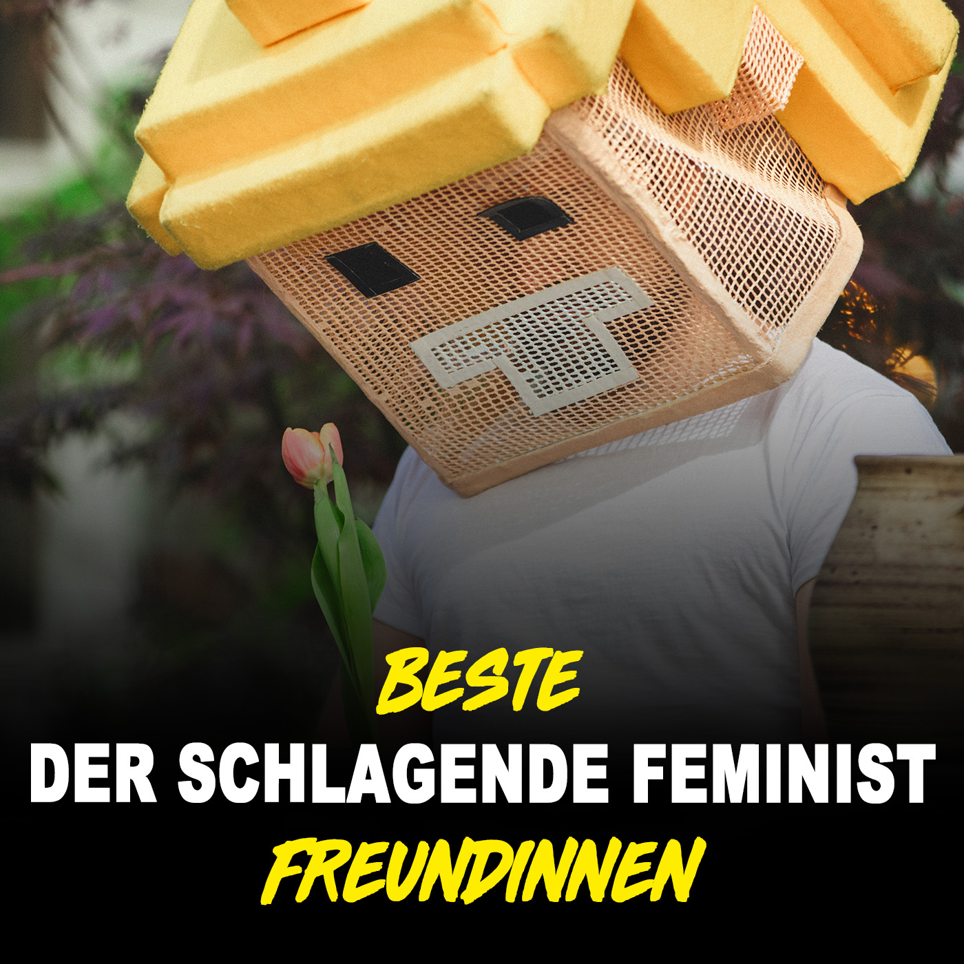 Der schlagende Feminist