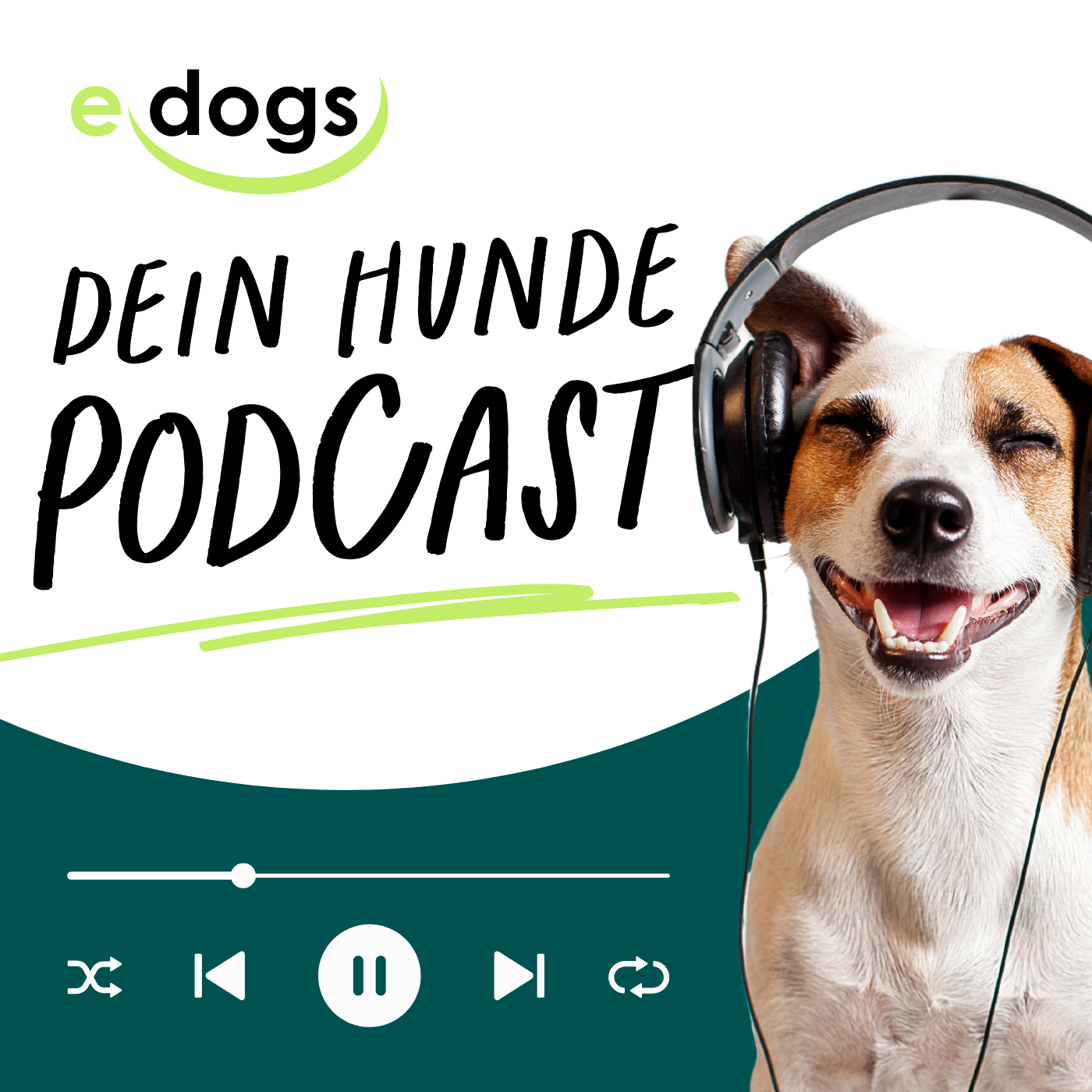Abenteuer Pflegestelle: Warum dieser Schritt dein Leben verändert! episode artwork