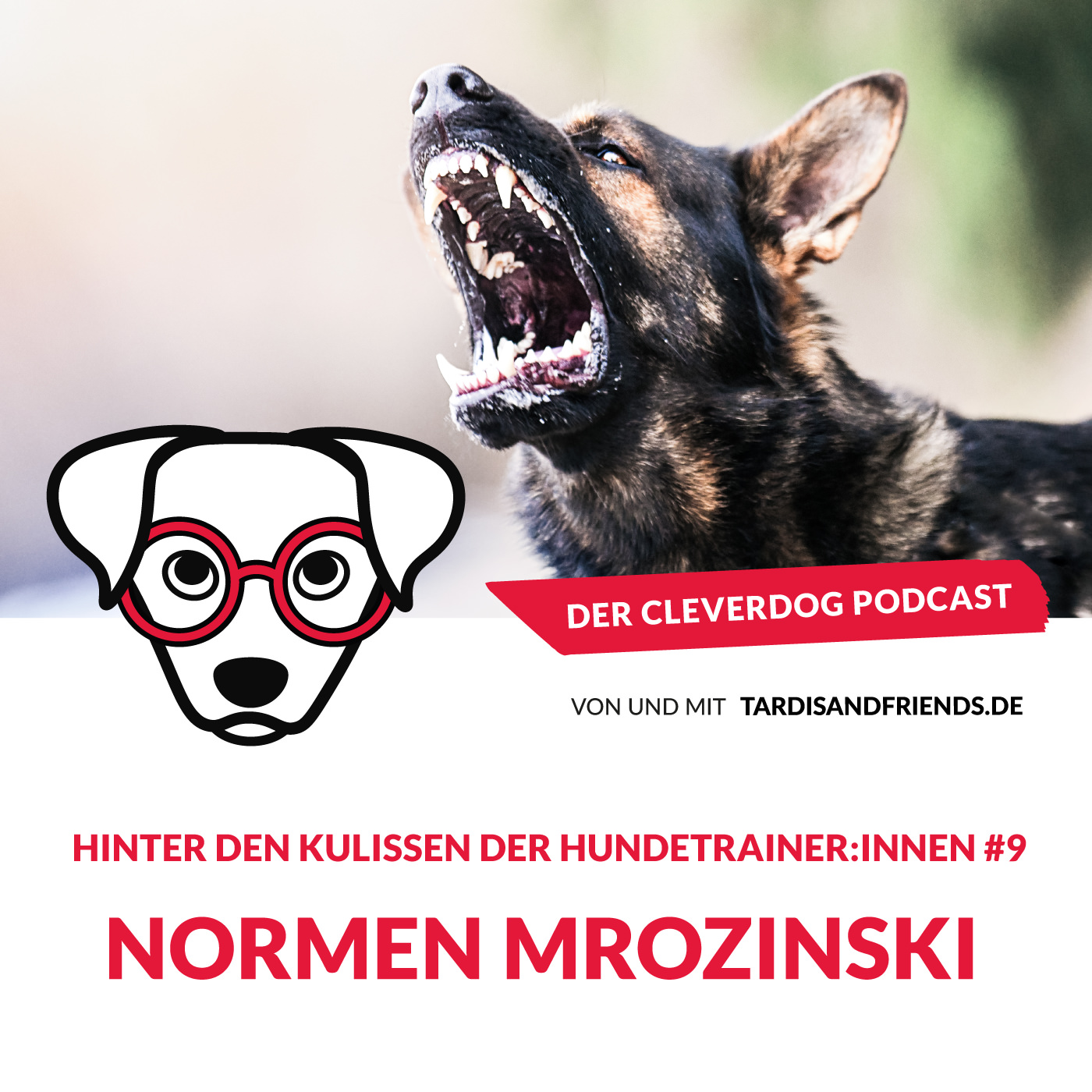 Der Cleverdog Podcast – mehr Wissen rund um den Hund!
