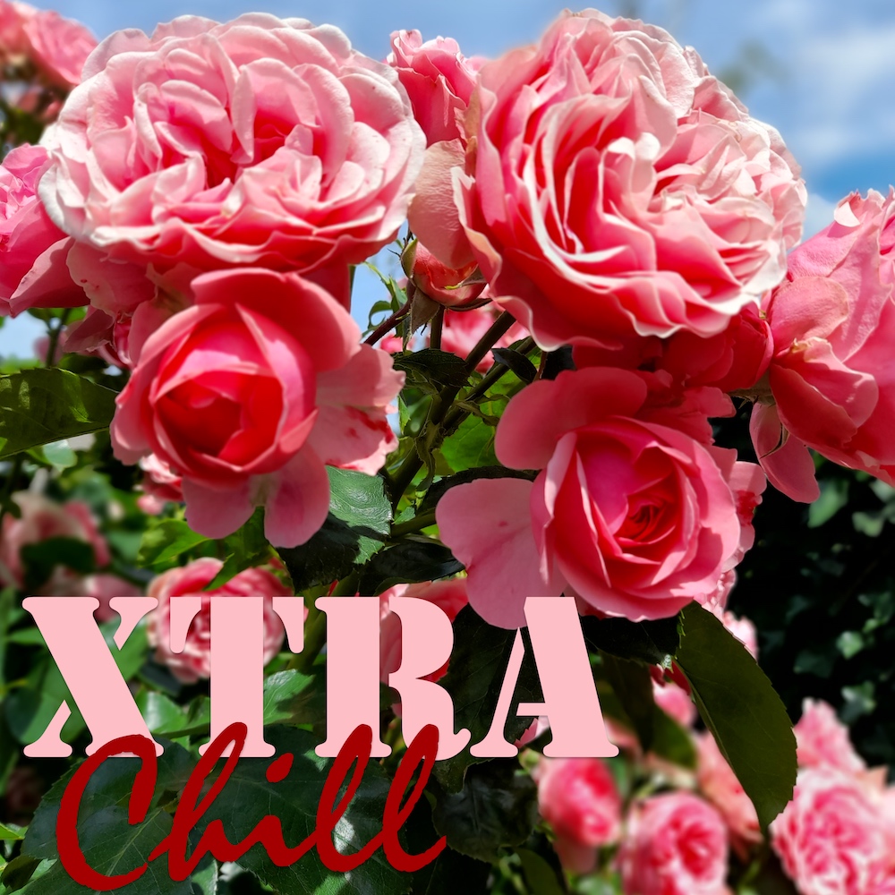 XtraChill