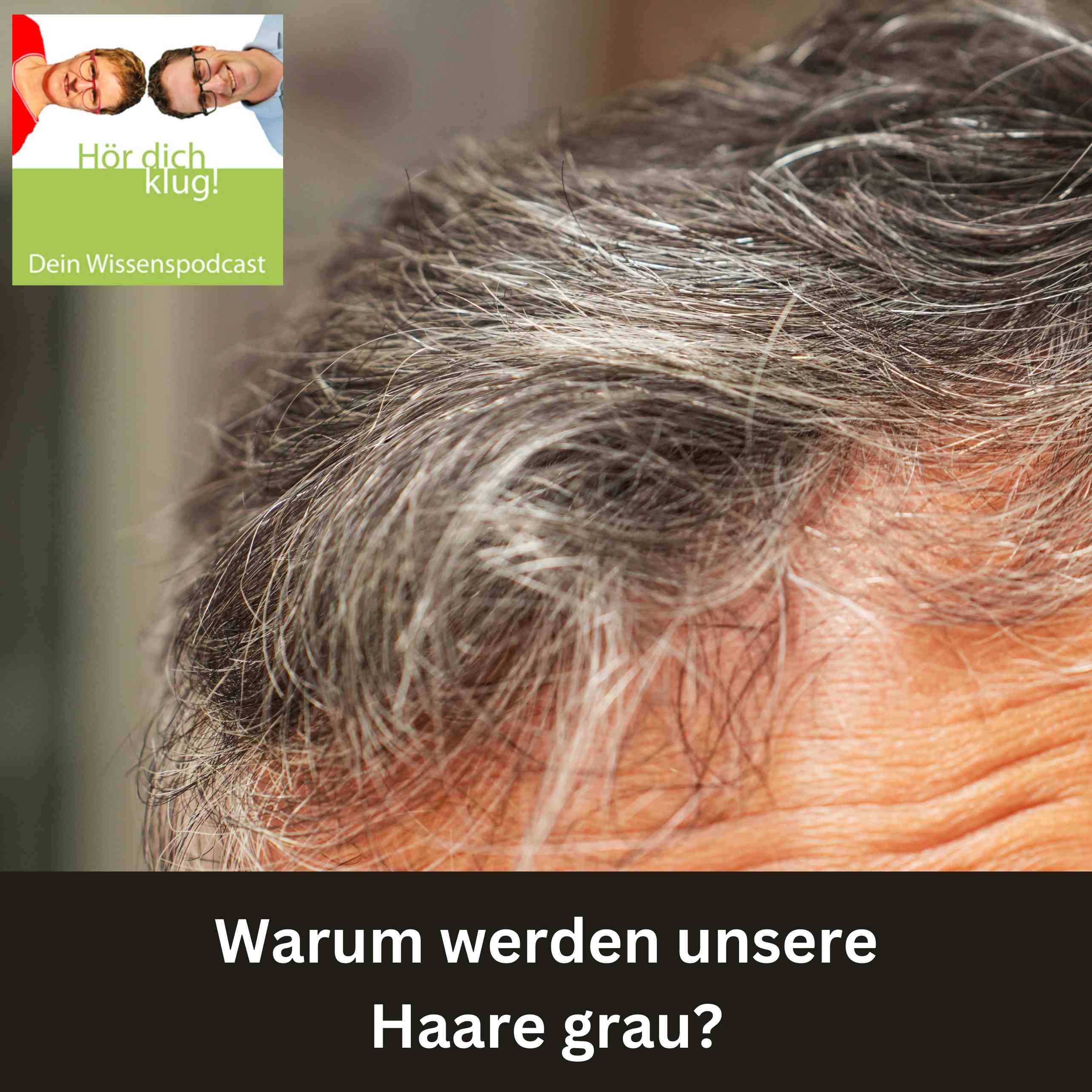 Warum werden unsere Haare grau?