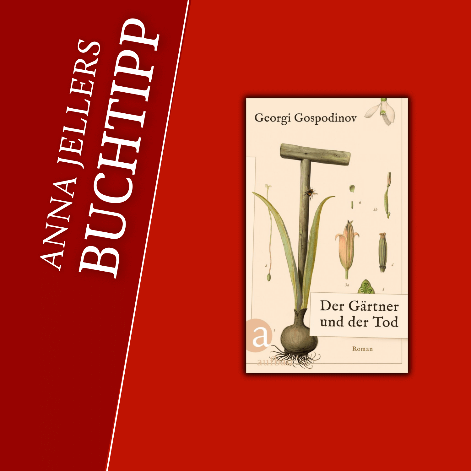 Anna Jellers Buchtipp | Georgi Gospodinov: Der Gärtner und der Tod Anna Jellers Buchtipp | Georgi Gospodinov: Der Gärtner und der Tod