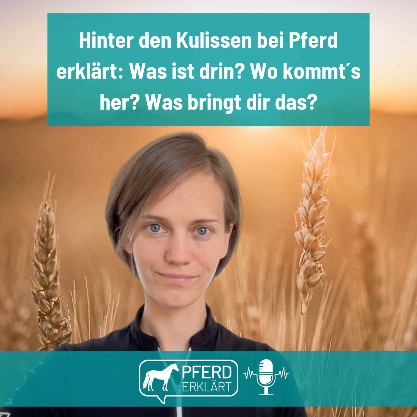 Hinter den Kulissen von Pferd erklärt: Was ist drin? Wie fing´s an?