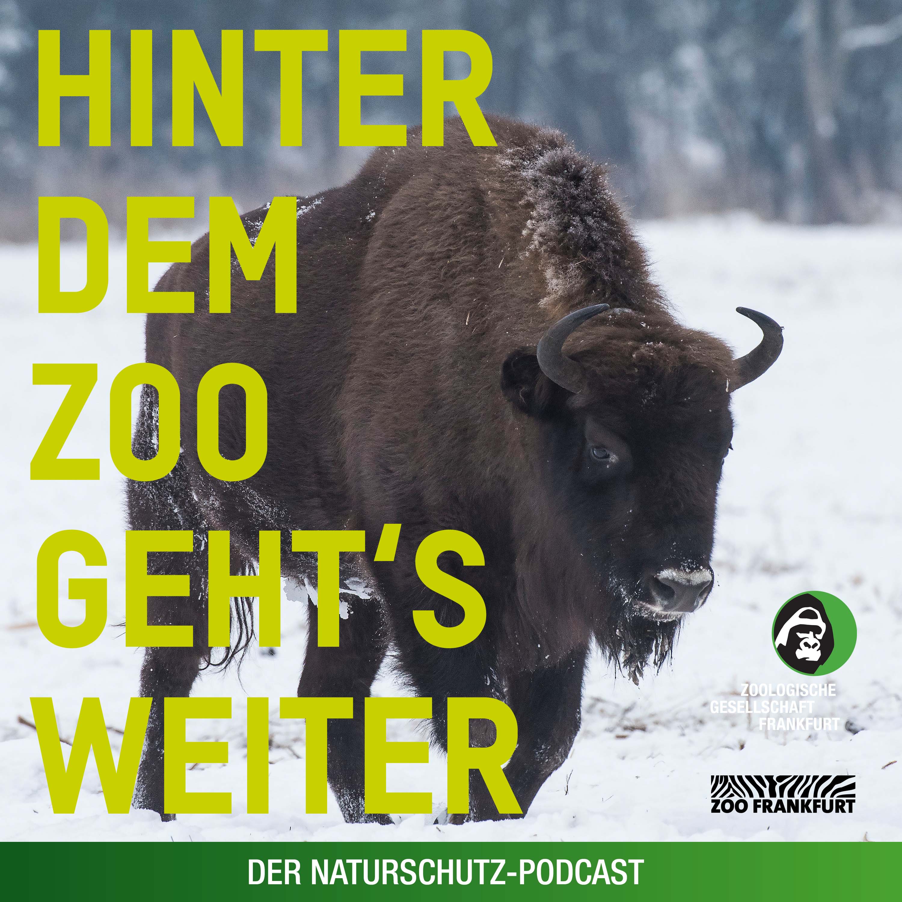 Hinter dem Zoo geht\'s weiter - Der Naturschutzpodcast aus Frankfurt