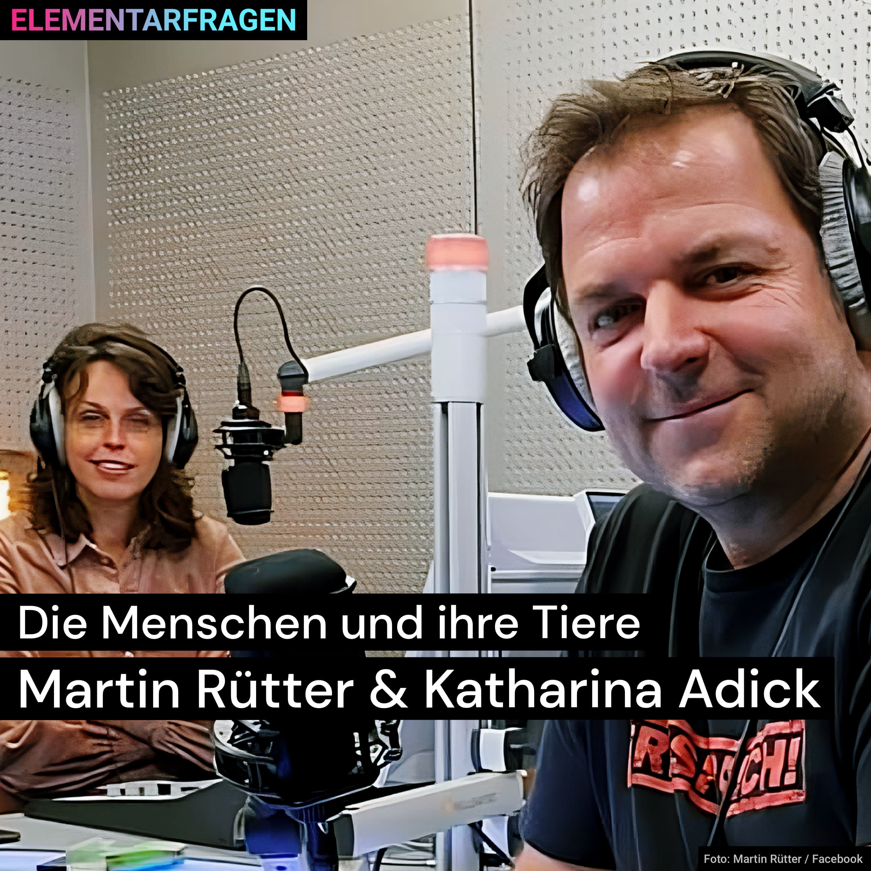 Elementarfragen