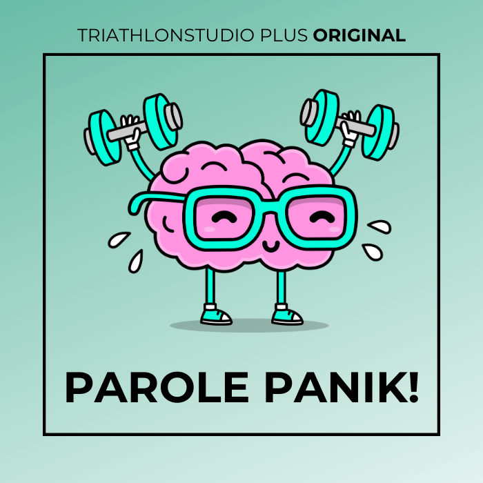 Triathlonstudio