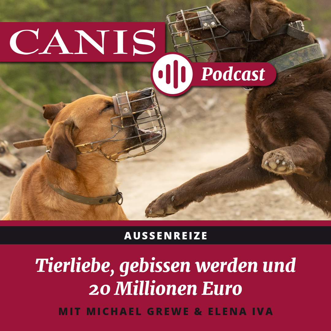 Der CANIS-Podcast – Hundeexpert:innen ausgefragt