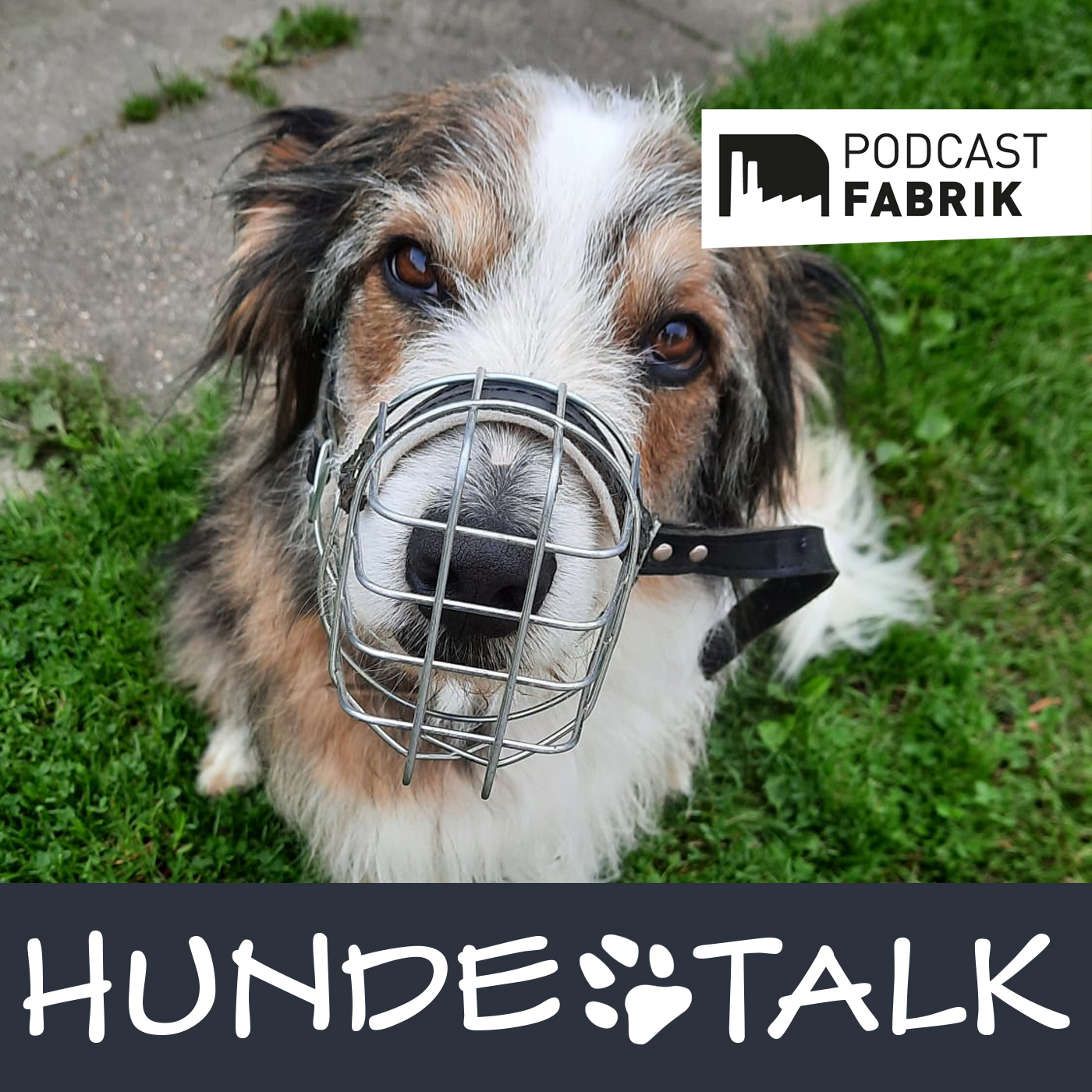 HUNDETALK - Dein Hunderunde-Podcast