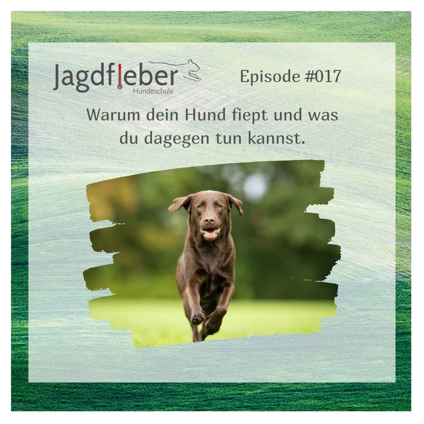 P017: Warum dein Hund fiept und was du dagegen tun kannst. episode artwork