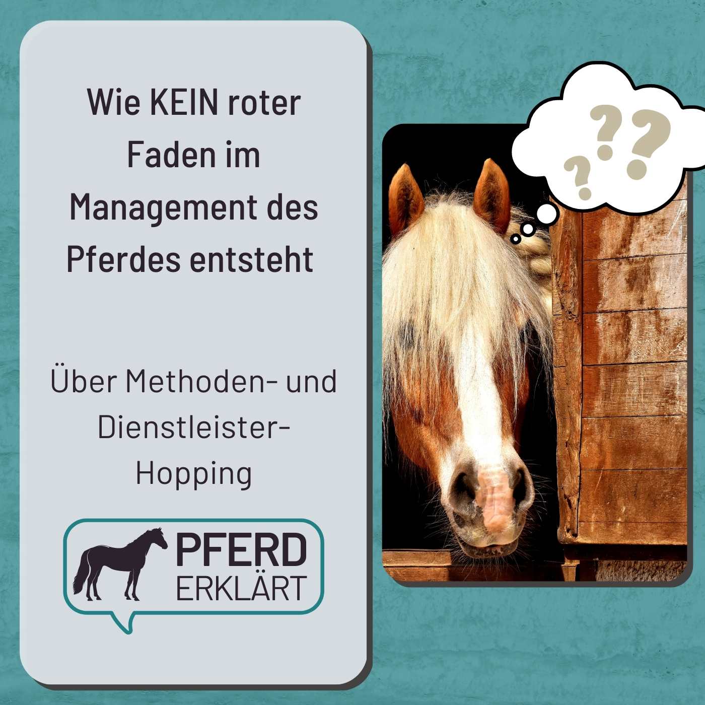 Pferd erklärt