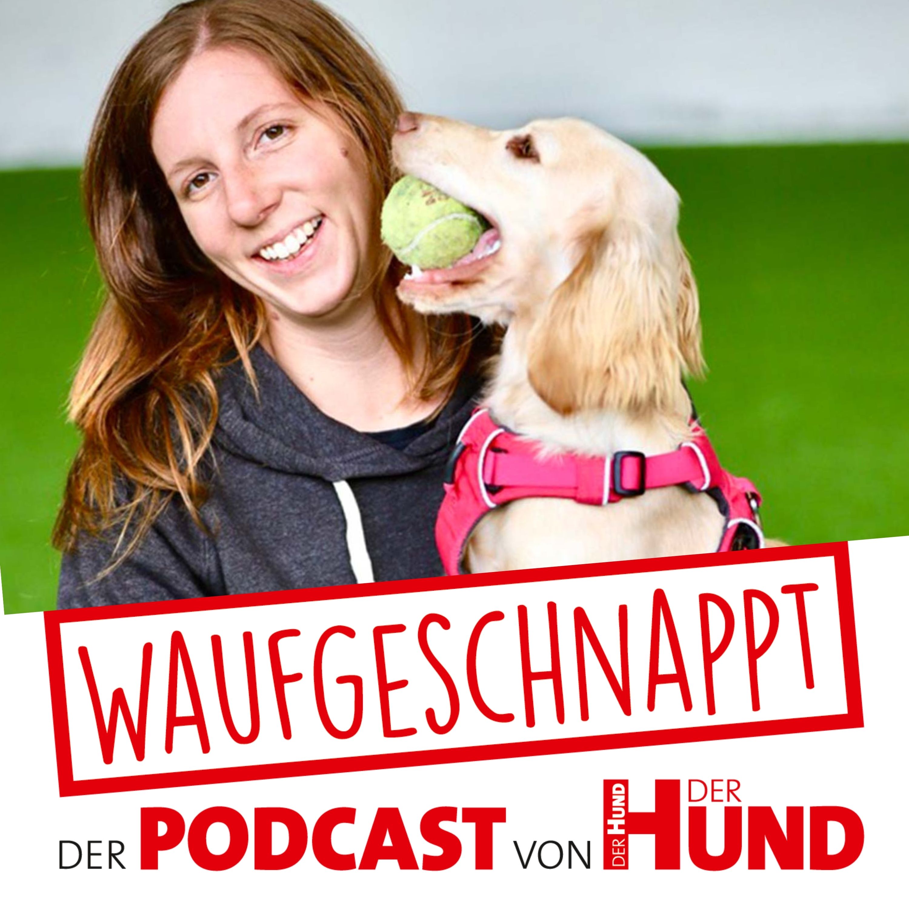 Waufgeschnappt - der Podcast von DER HUND