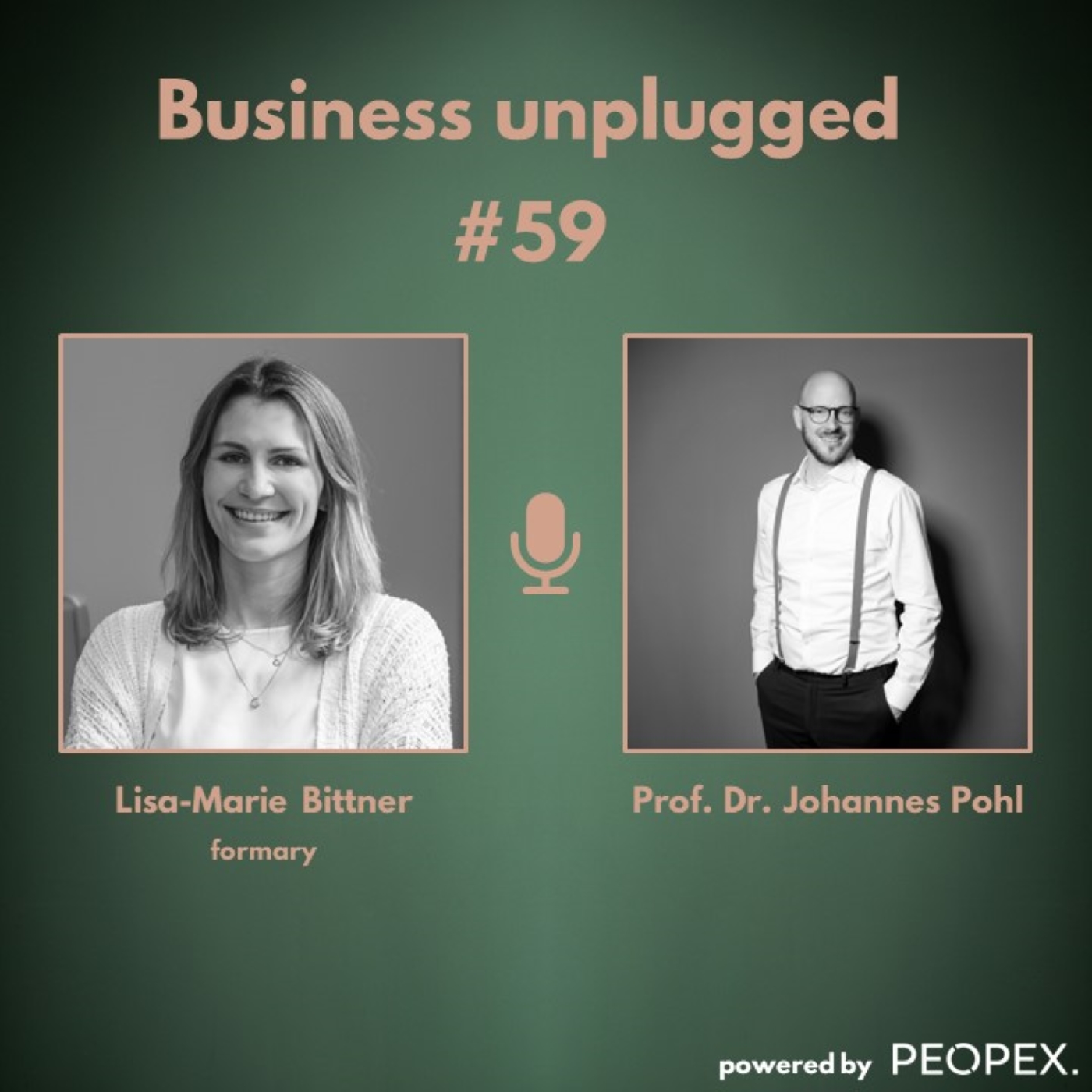 Business unplugged - Menschen, Unternehmen und Aspekte der Digitalisierung