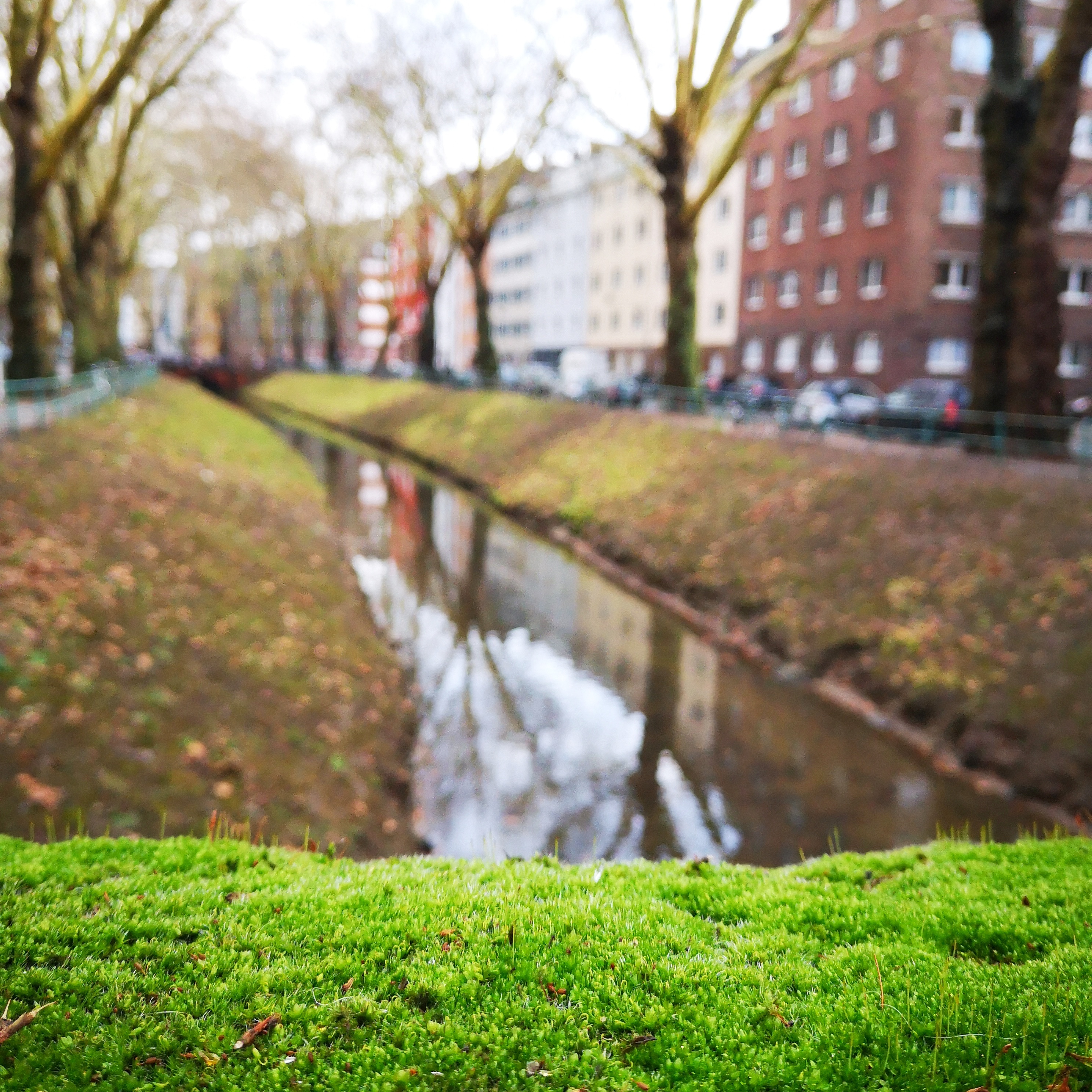 Düssel-Flaneur: Stadt, Natur, Popkultur.