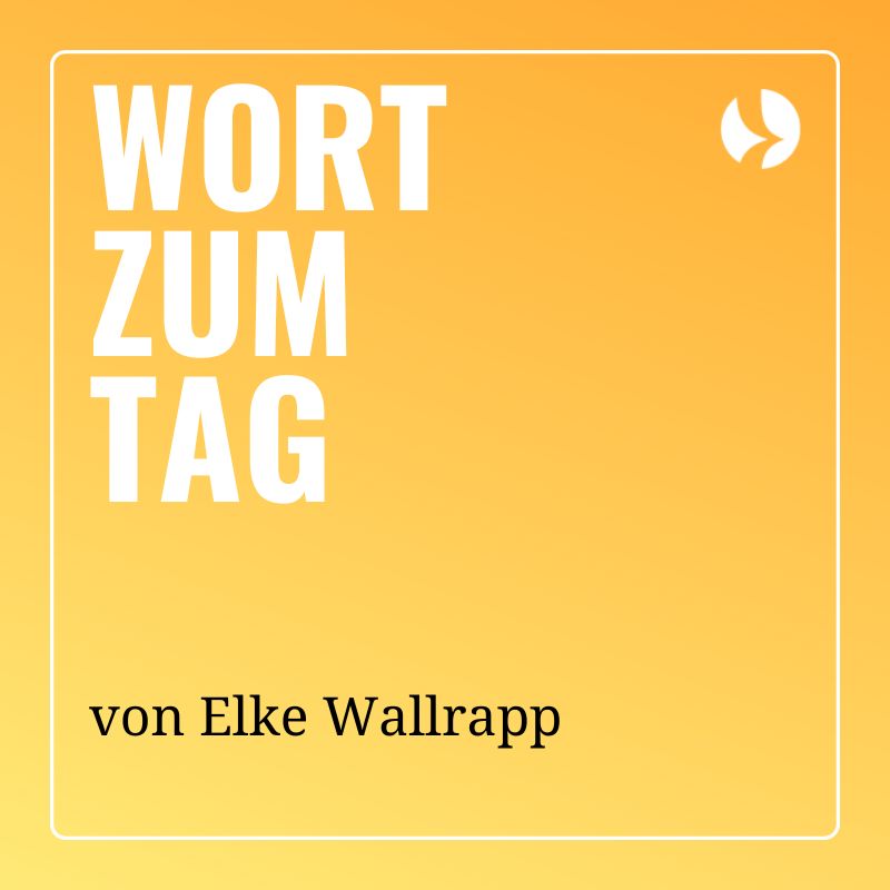 Die Schwalbe - Der Muttergottesvogel episode artwork