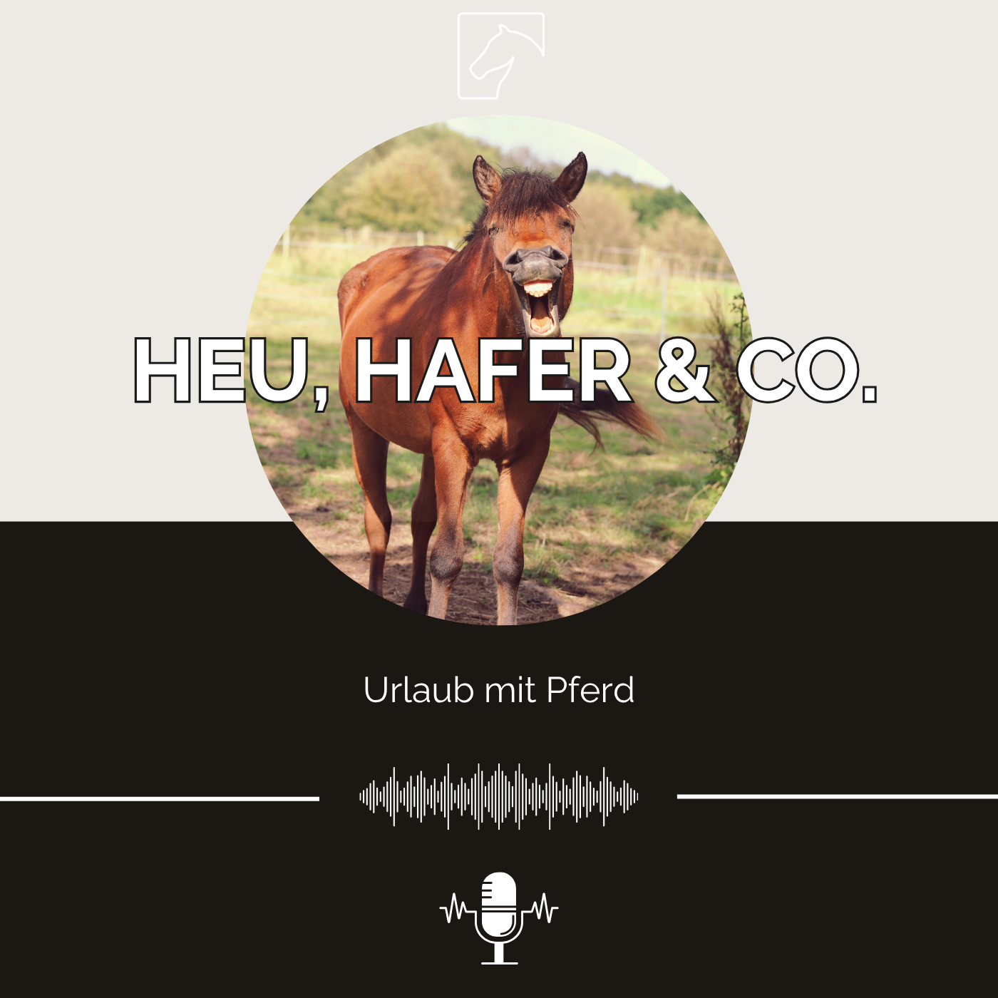 Heu, Hafer & Co: Der Pferdefutter-Podcast