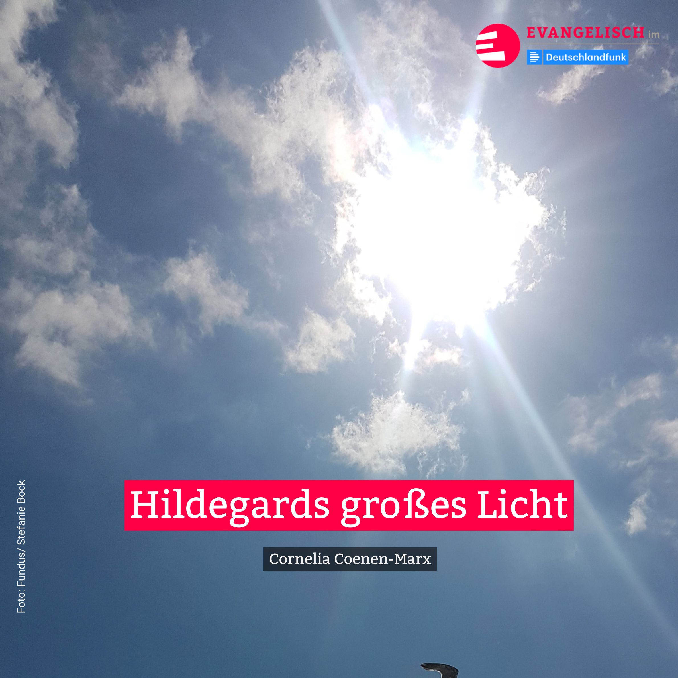 Hildegards großes Licht episode artwork