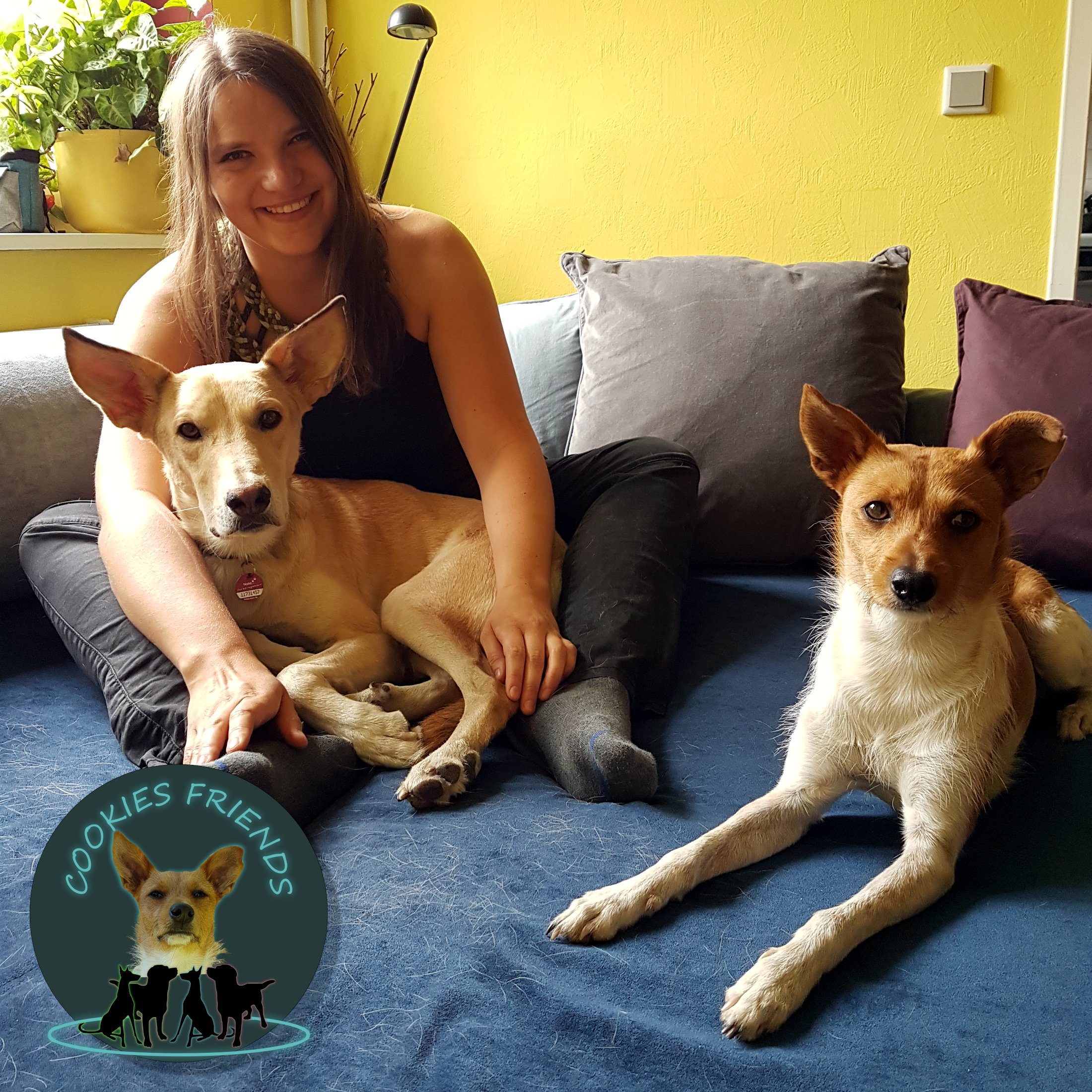 Cookies Friends. Der Podcast für Tierschutz-Hunde