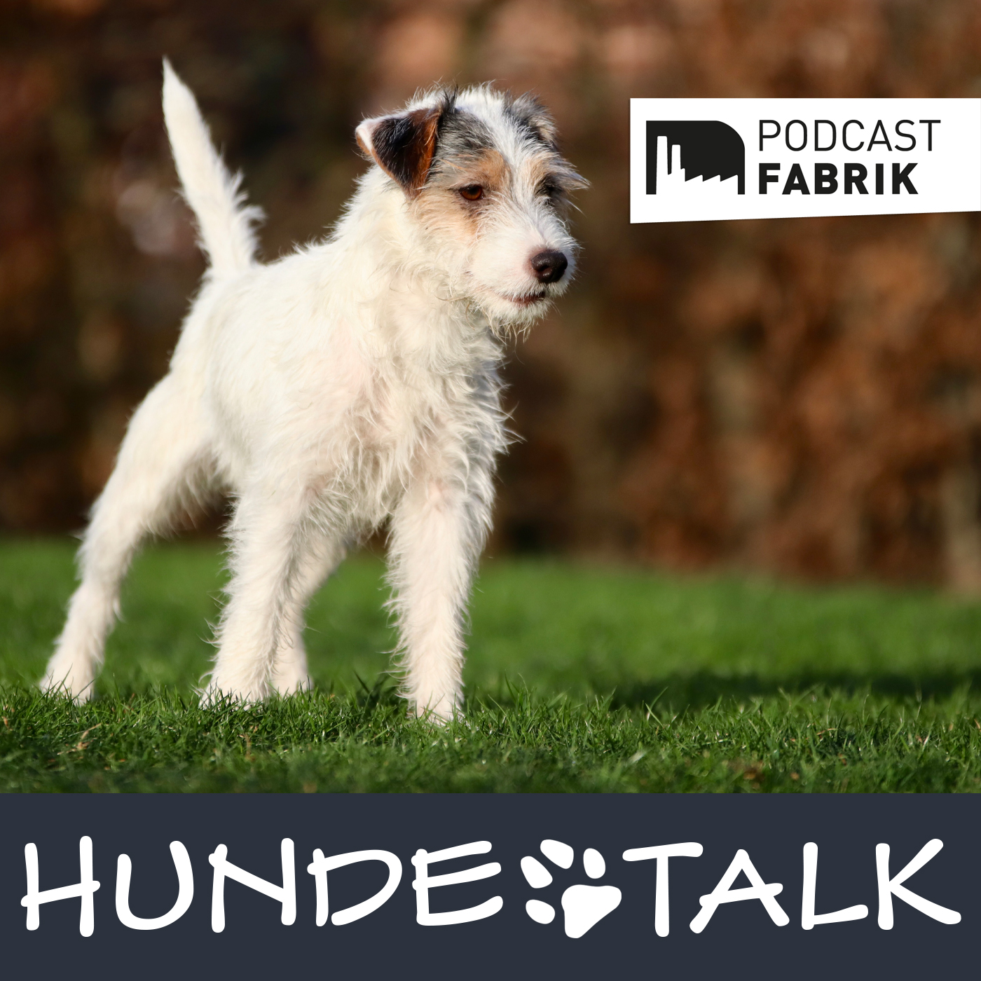 HUNDETALK - Dein Hunderunde-Podcast