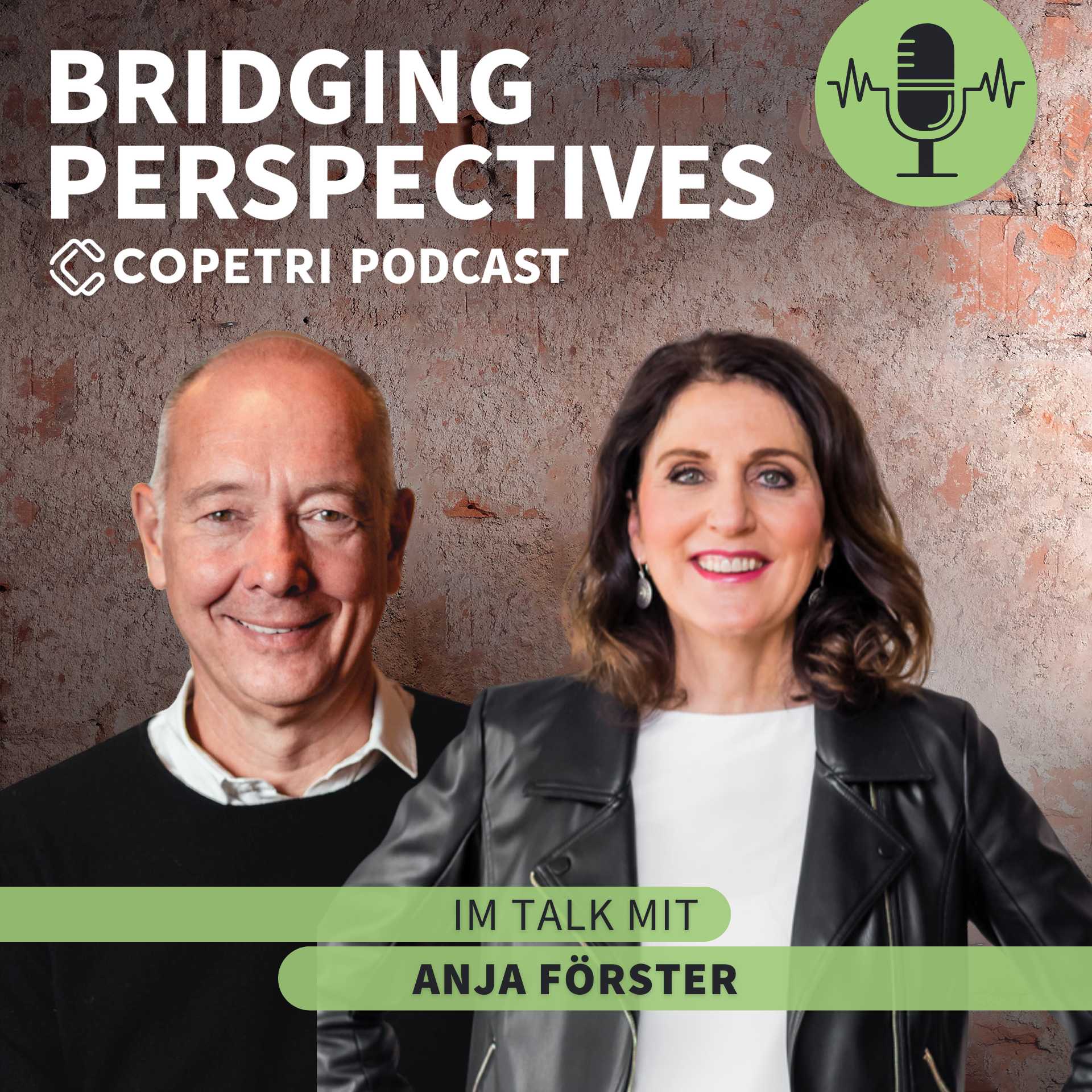 Bridging Perspectives - COPETRI Podcast