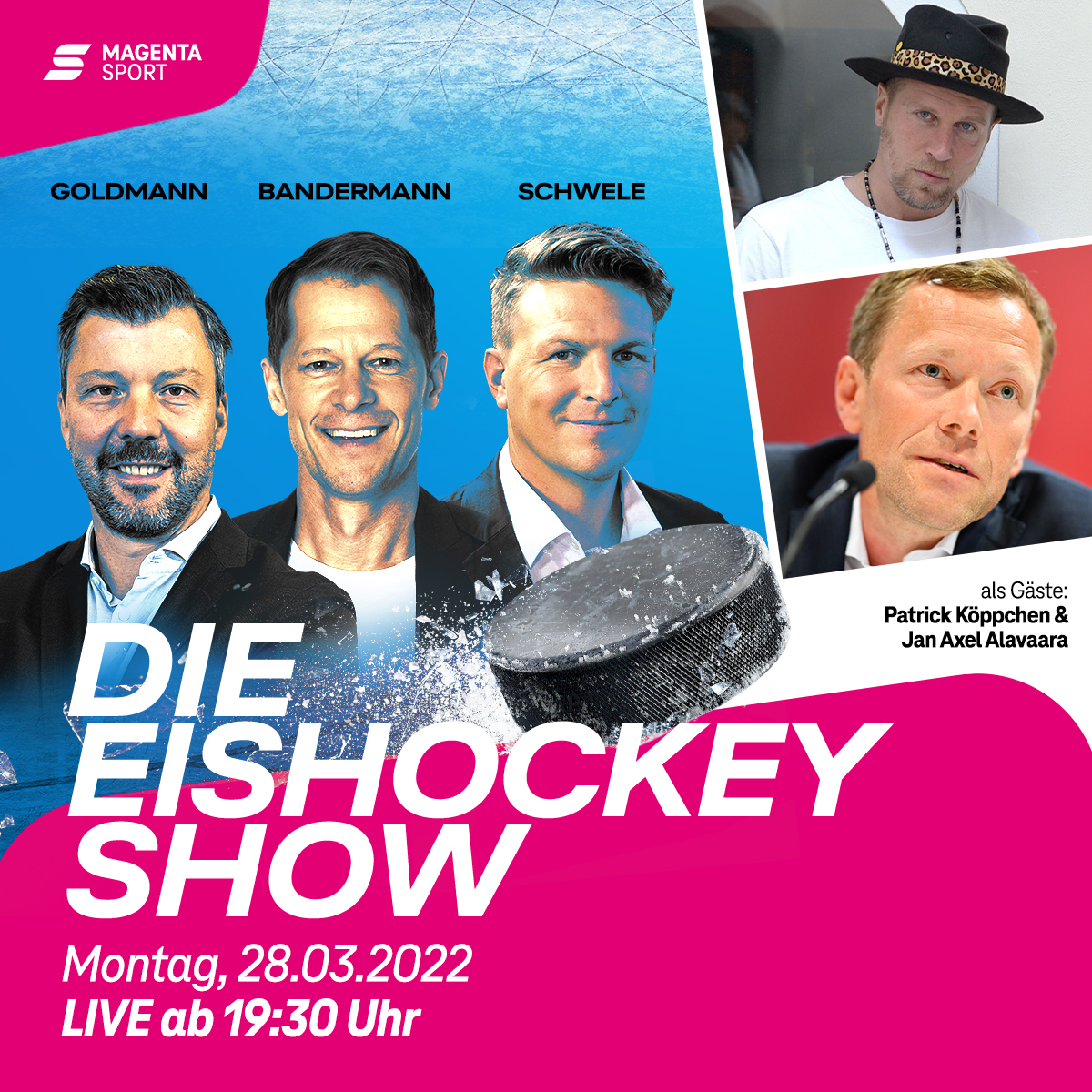 Die Eishockey Show