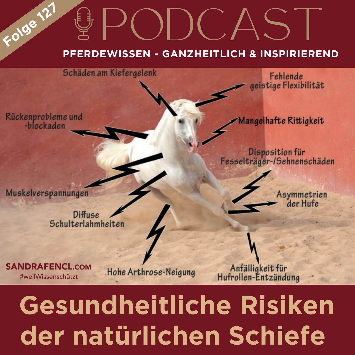 🐎 Gesundheitliche Risiken der natürlichen Schiefe episode artwork