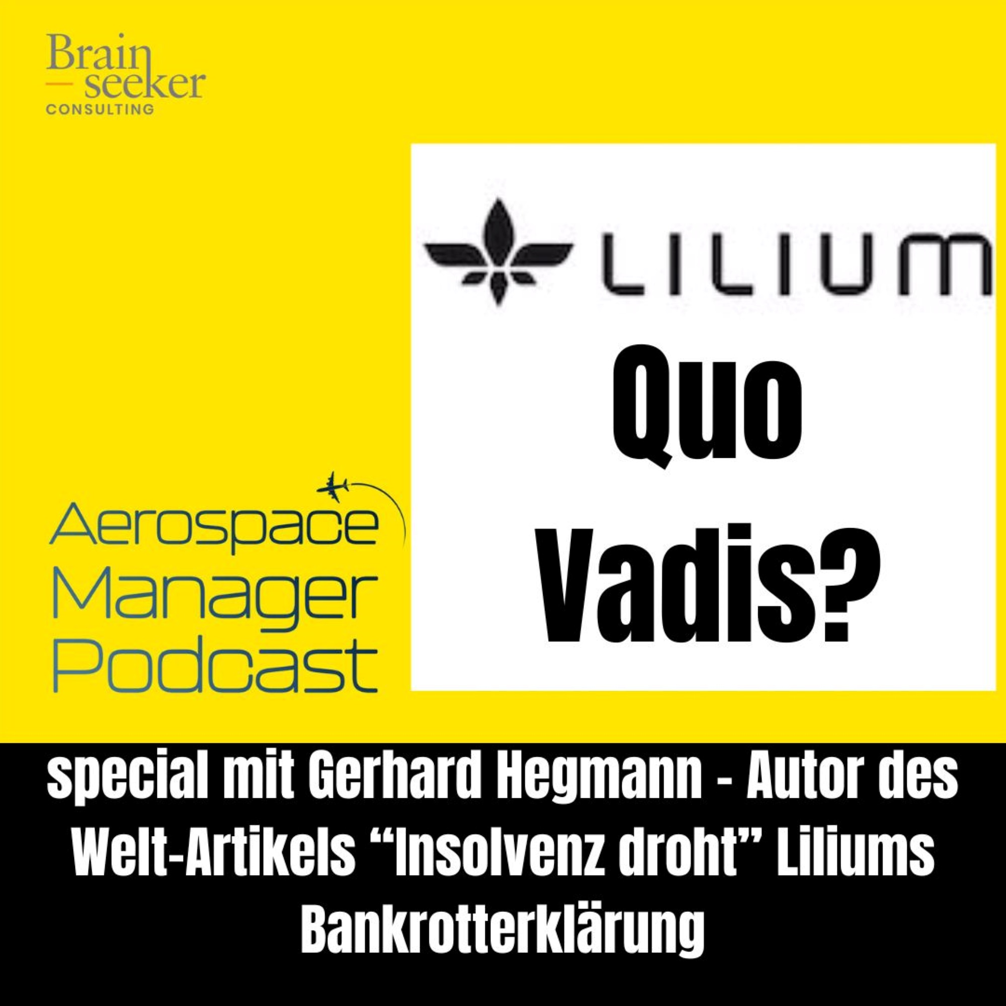 Aerospace Manager Podcast (Brainseeker Consulting)