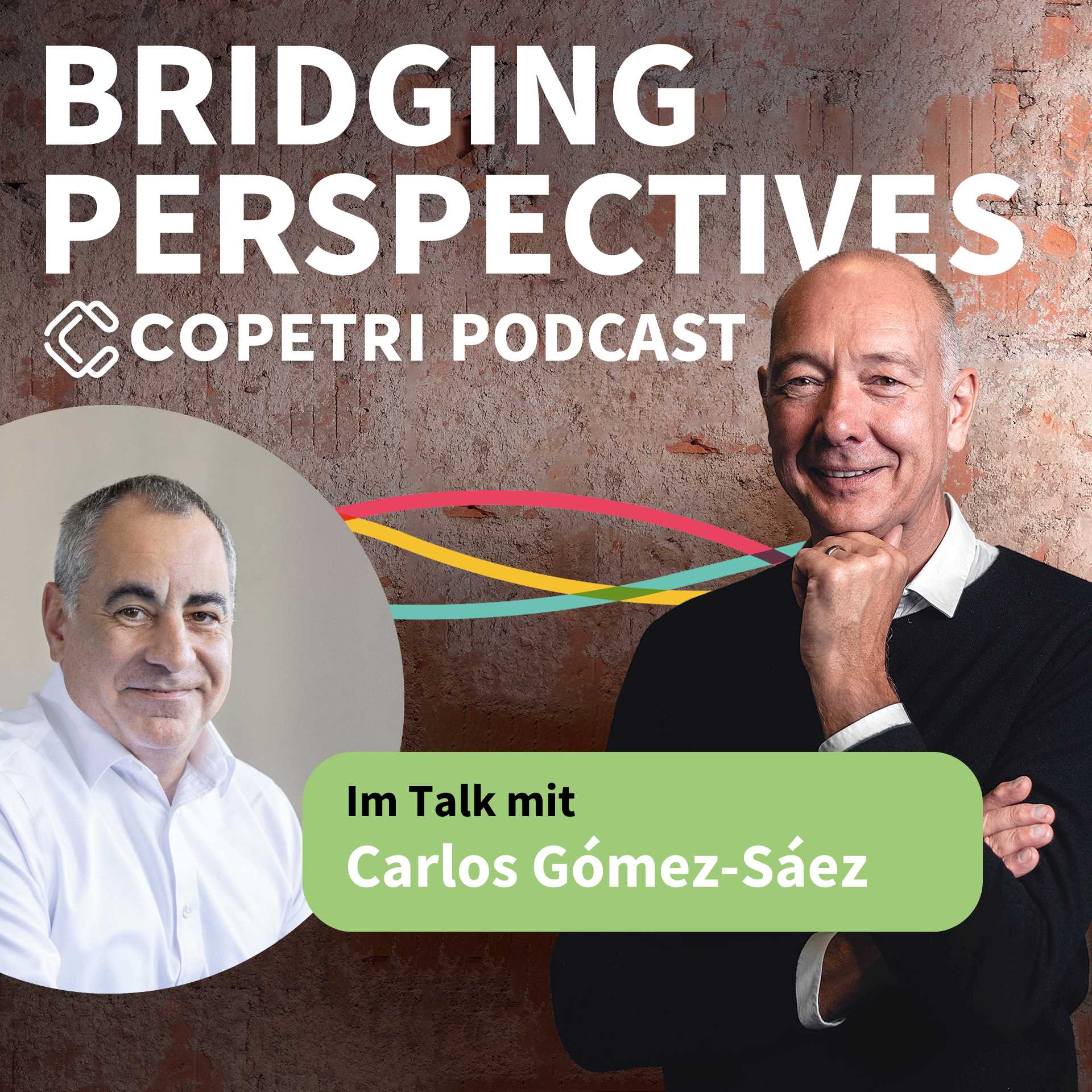 Bridging Perspectives - COPETRI Podcast