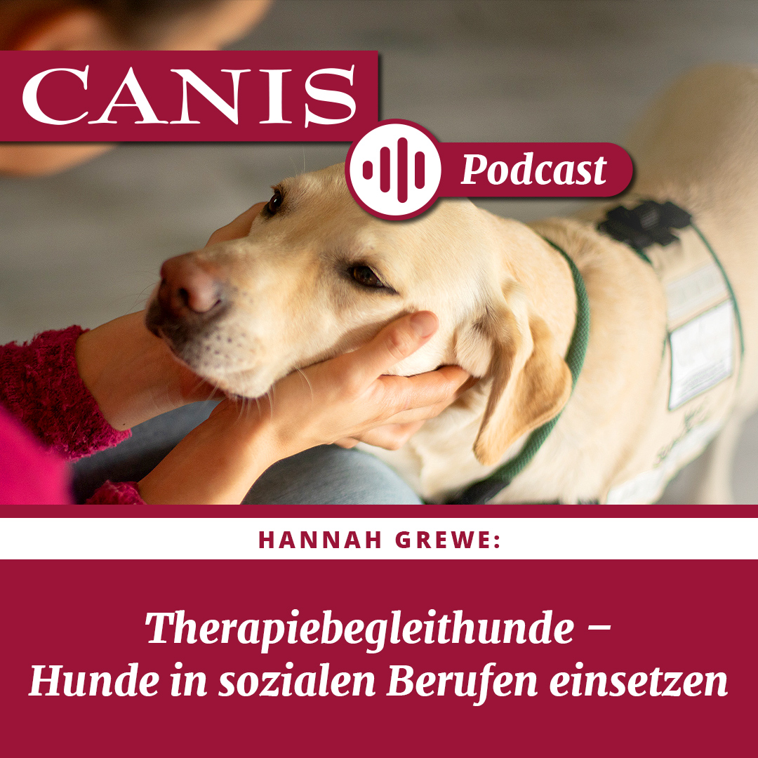 Der CANIS-Podcast – Hundeexpert:innen ausgefragt