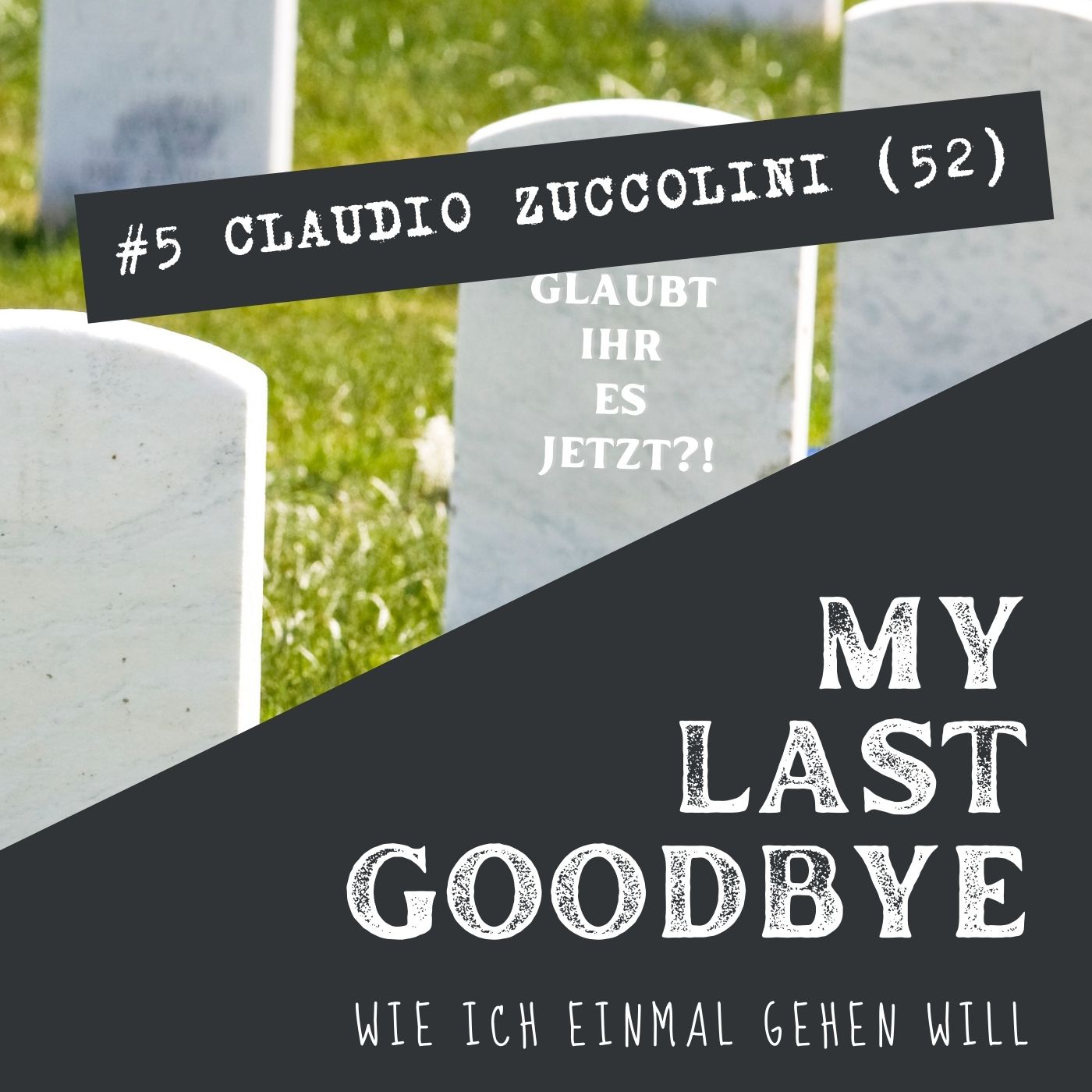 MY LAST GOODBYE