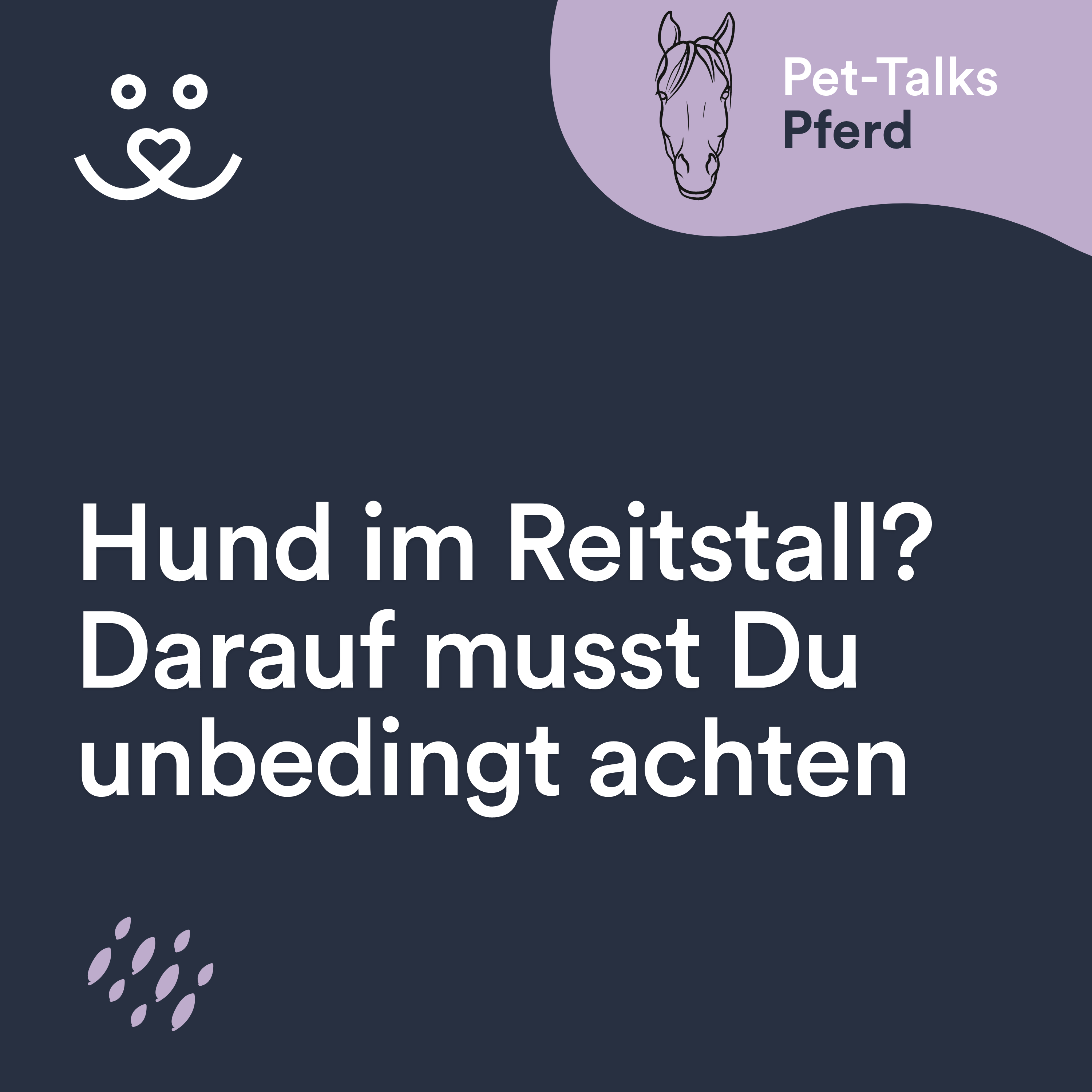 Pet-Talks: Pferd – der Ratgeber-Podcast von DeineTierwelt