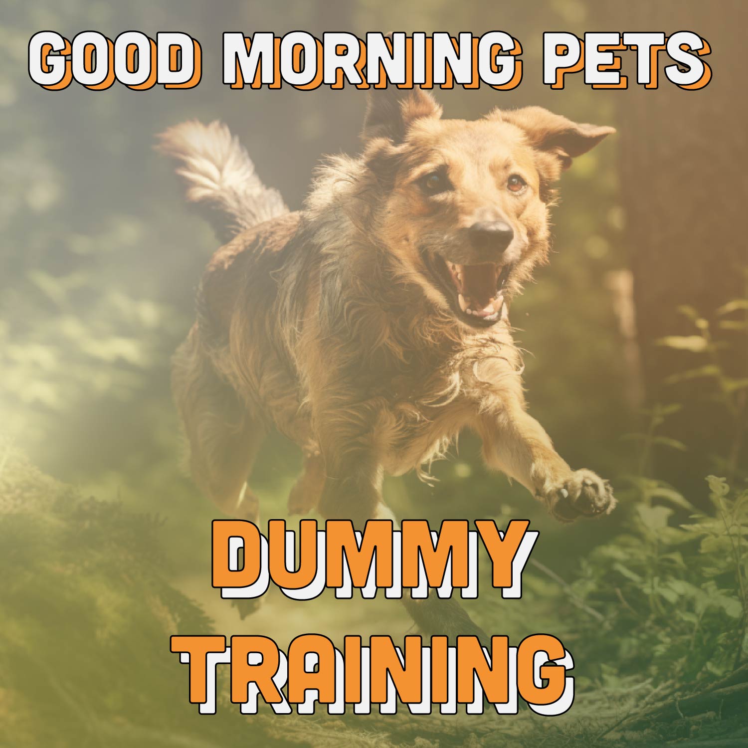 Good Morning Pets