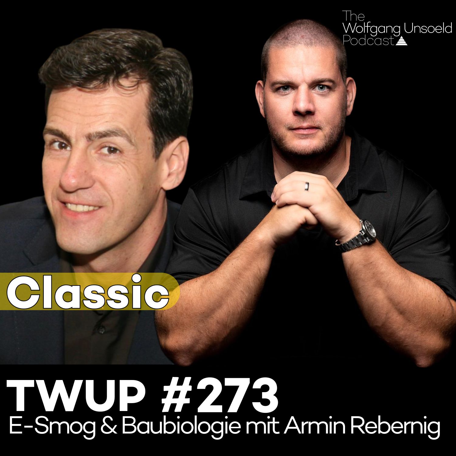 TnT Classic - E-Smog & Baubiologie mit Armin Rebernig - TWUP #273 episode artwork