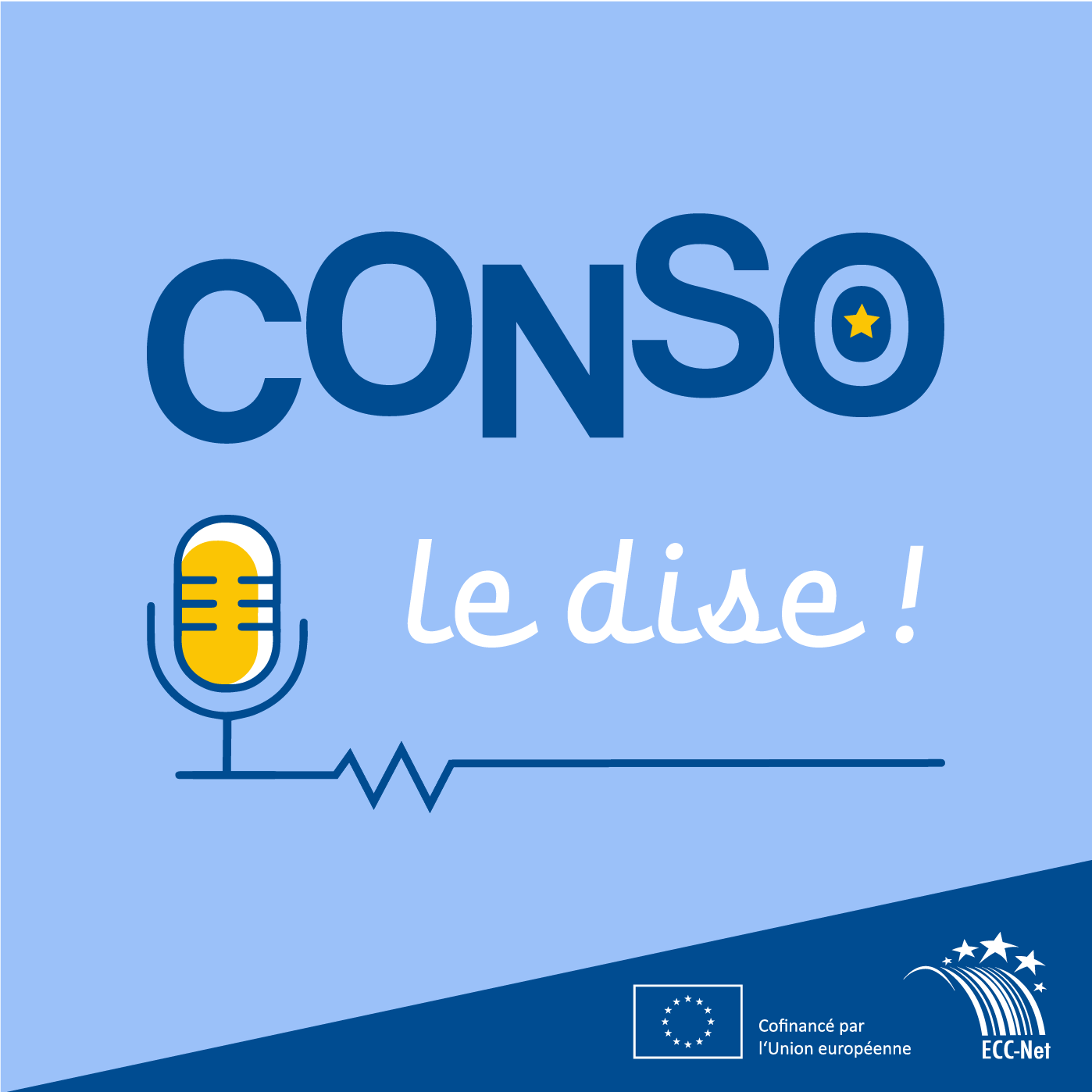#20 - Peut-on annuler un billet d’avion acheté sur Internet ?