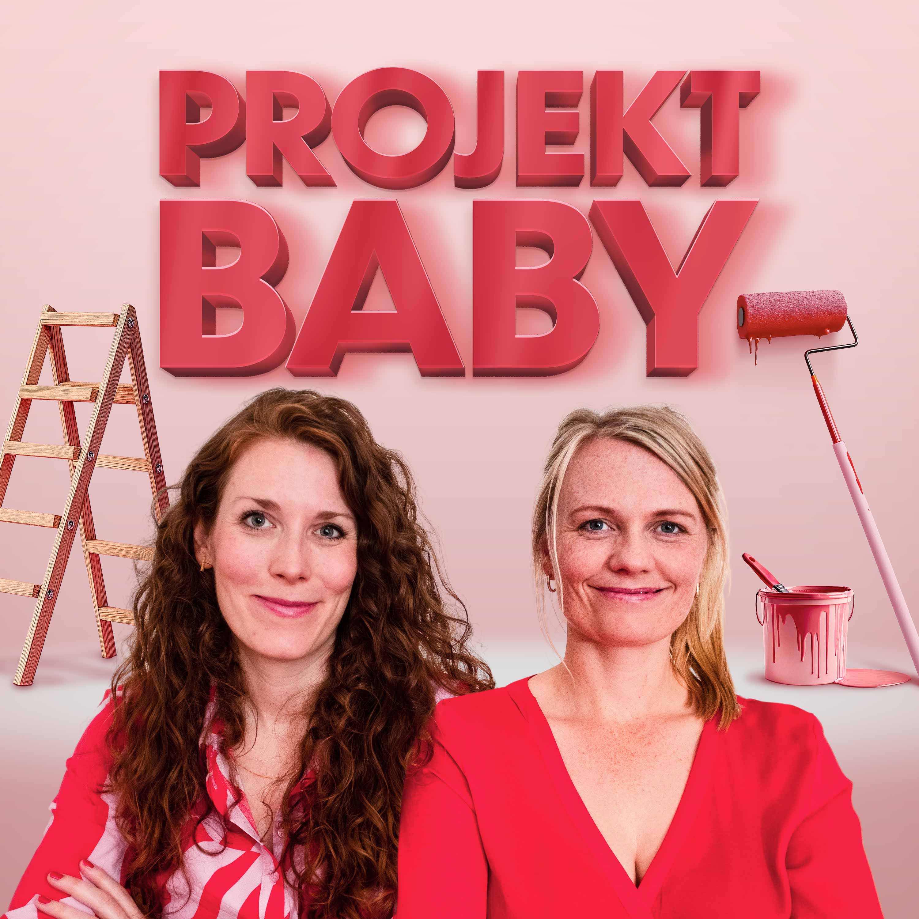 Projekt Baby - Mit Plan durch Schwangerschaft, Geburt und Wochenbett