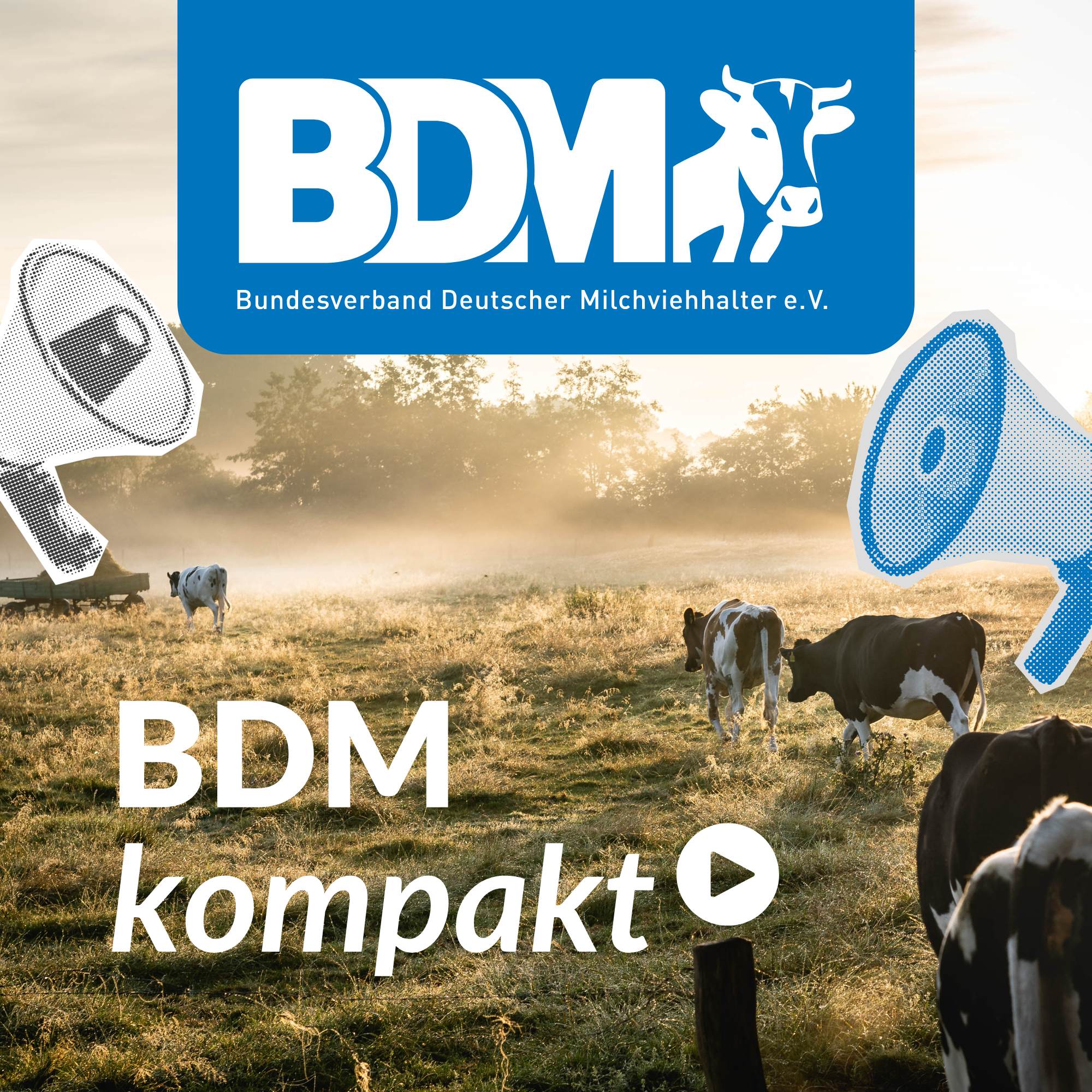 BDM kompakt