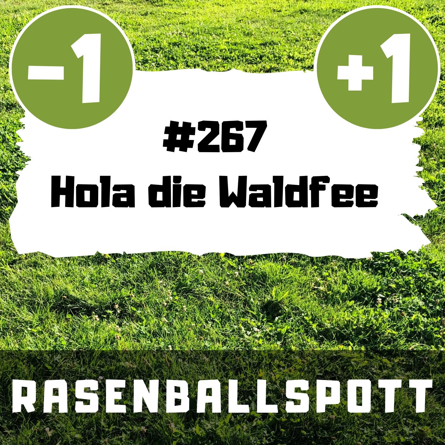Rasenballspott #267 - Hola die Waldfee episode artwork